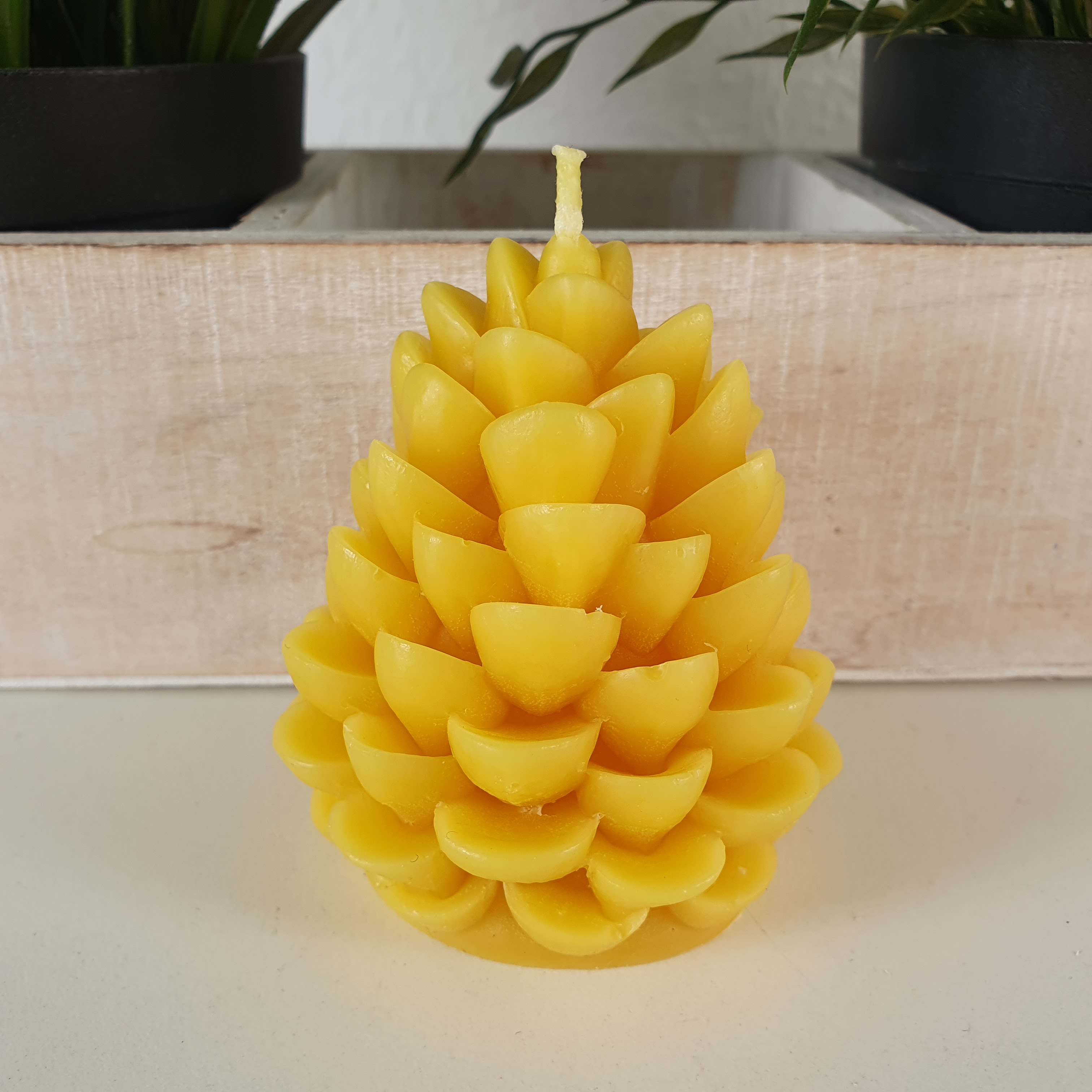 Bienenwachskerze Tannenzapfen Kerzen 8 cm