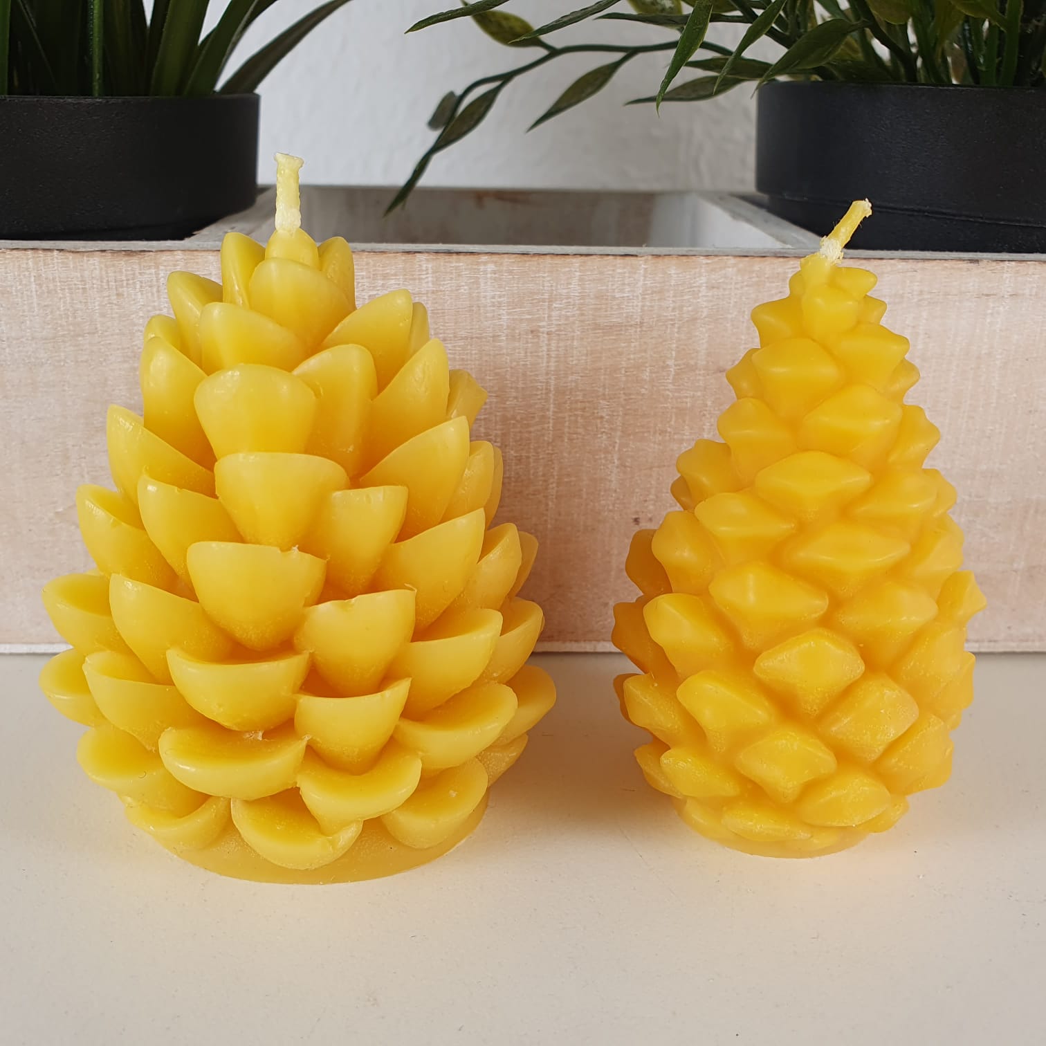 Bienenwachskerze Tannenzapfen Kerzen 2er Set  8 cm