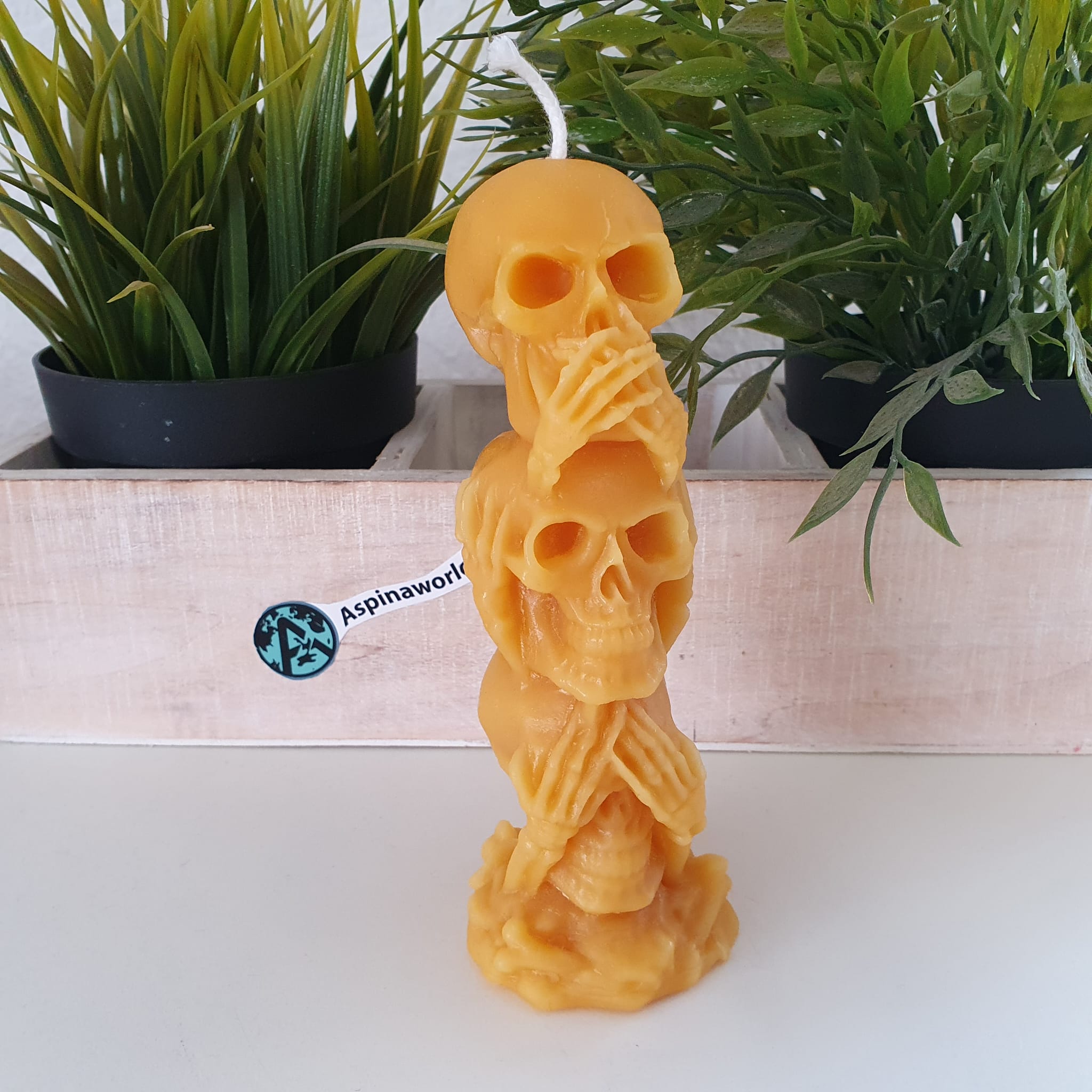 Totenkopf Kerze 13 cm 100% Bienenwachs Kerze