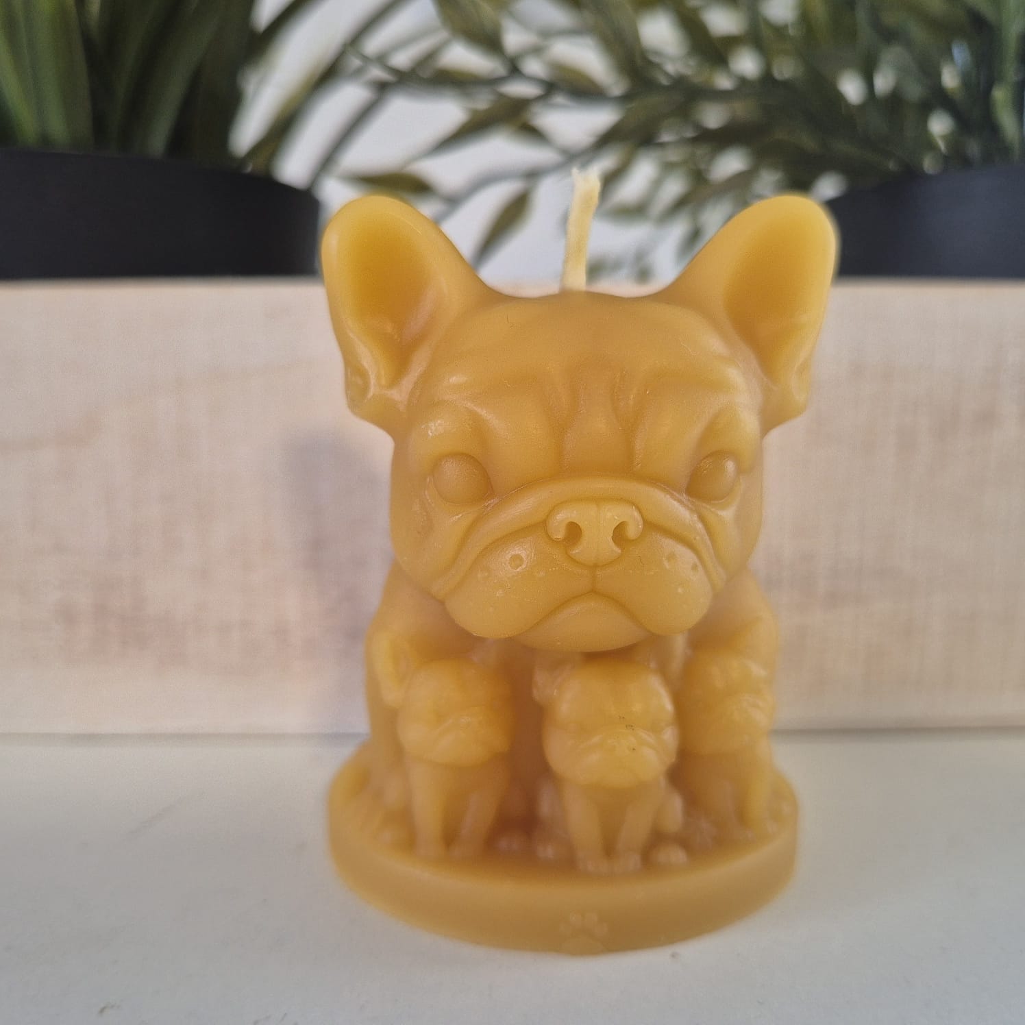 Bienenwachskerze Bulldogen Kerze mit Welpen 7 cm