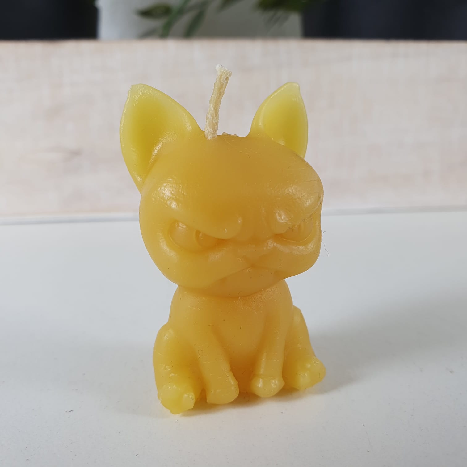 Bienenwachskerze mürrischer Hunde Kerze 5 cm