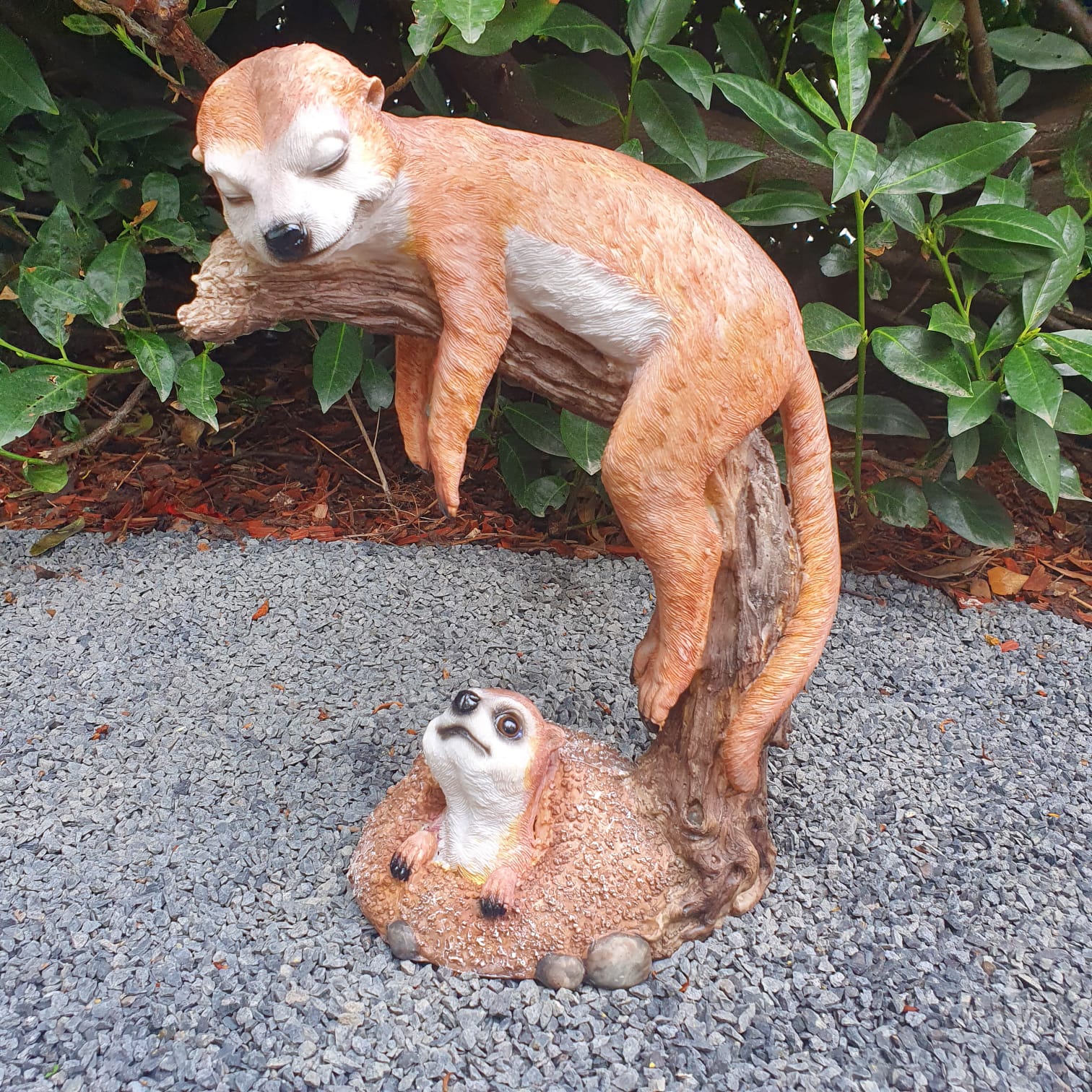 Gartenfigur schlafende Erdmännchen Figur auf Ast 23 cm