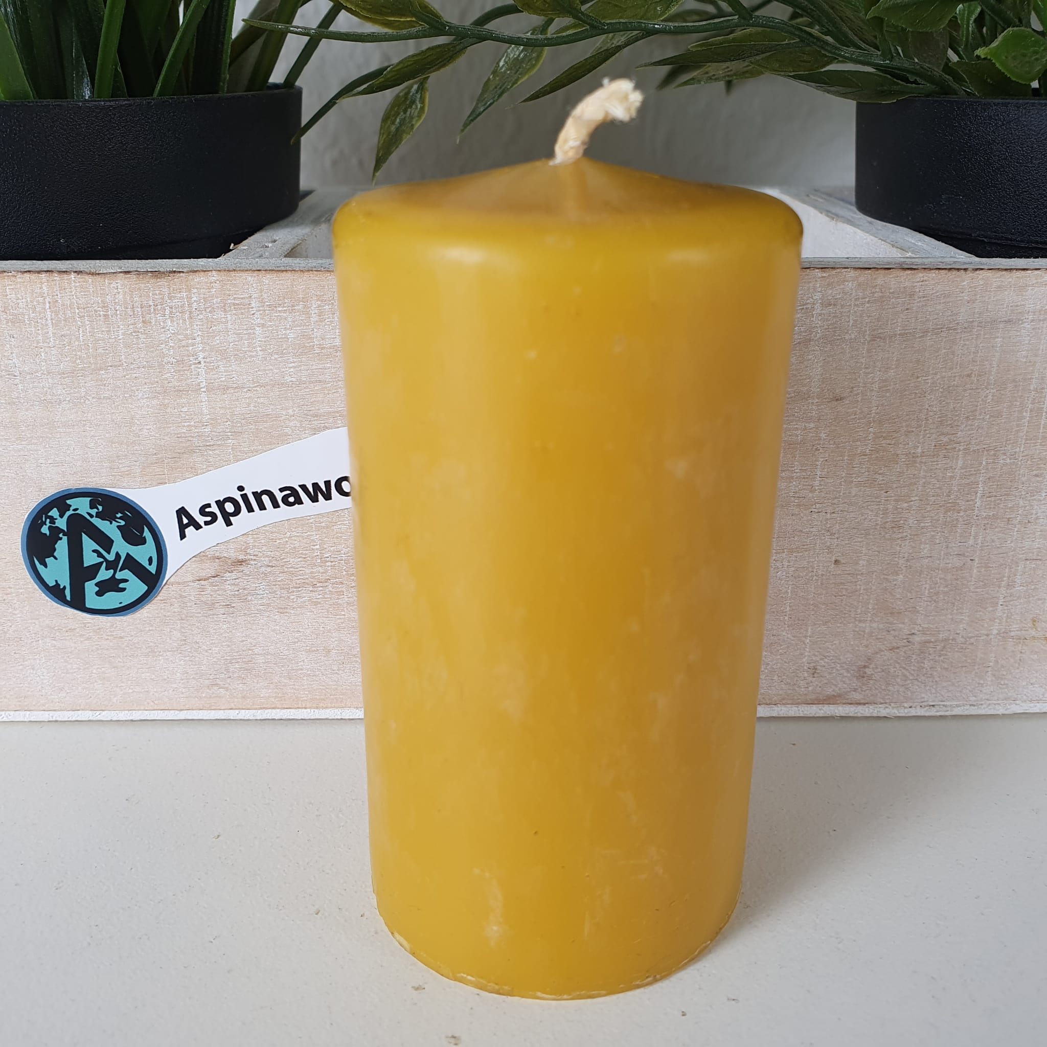 Bienenwachskerze Stumpenkerze aus 100% reinem Bienenwachs 10 x 7,50 cm