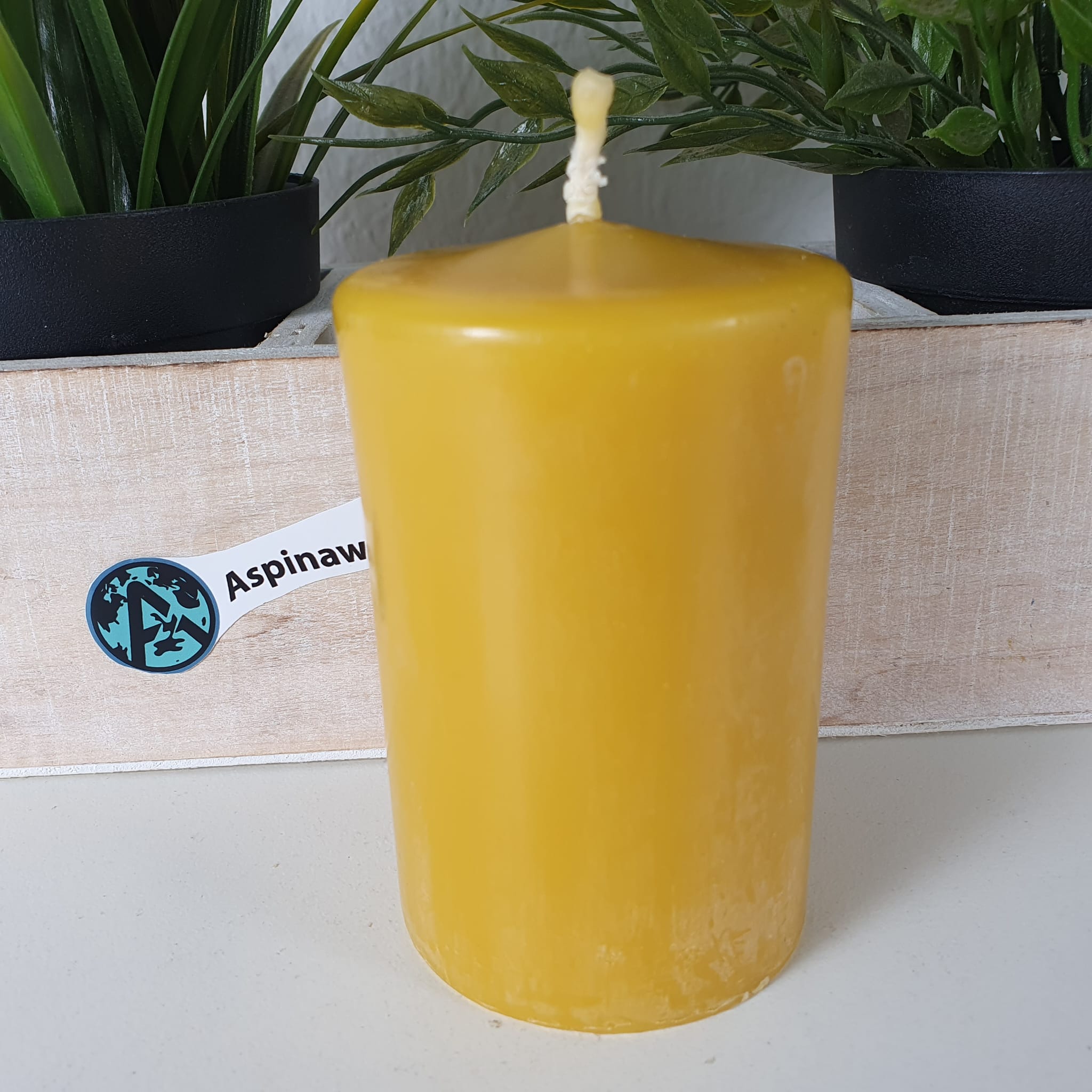 Bienenwachskerze Stumpenkerze aus 100% Bienenwachs 8,5 x 5,50 cm