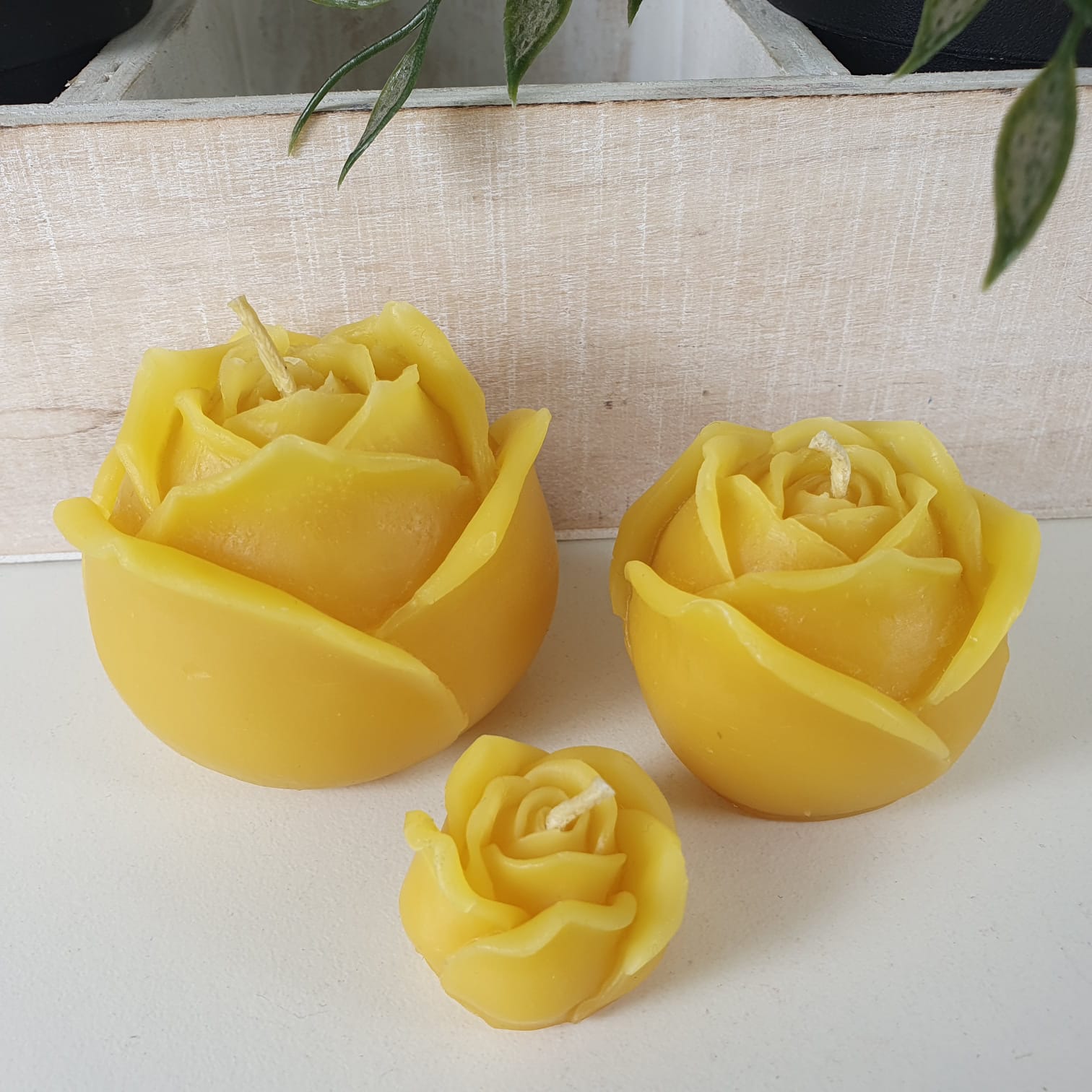 Bienenwachskerze Rosen Kerzen 3er Set 5 cm