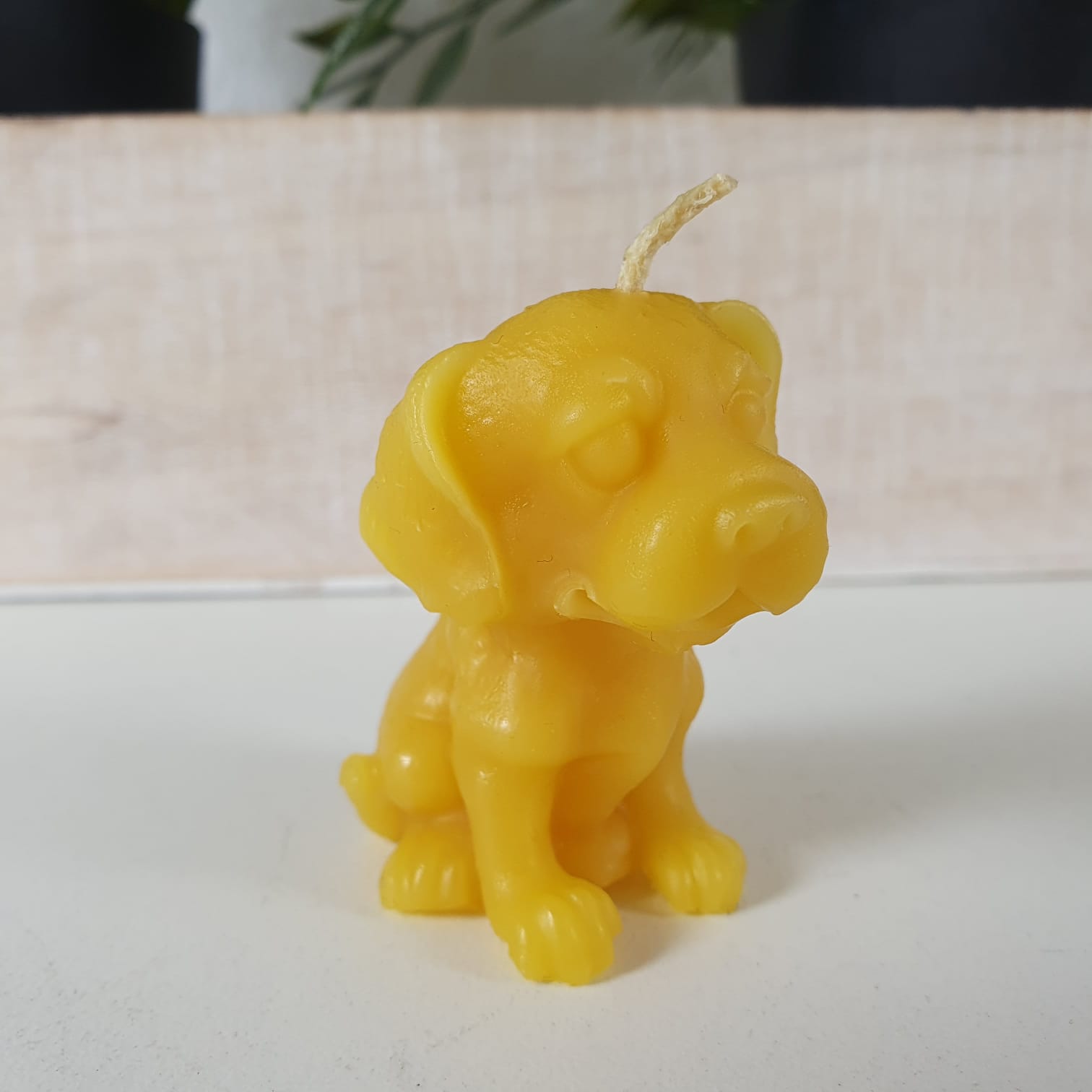 Bienenwachskerze Hunde Kerze 4,5 cm