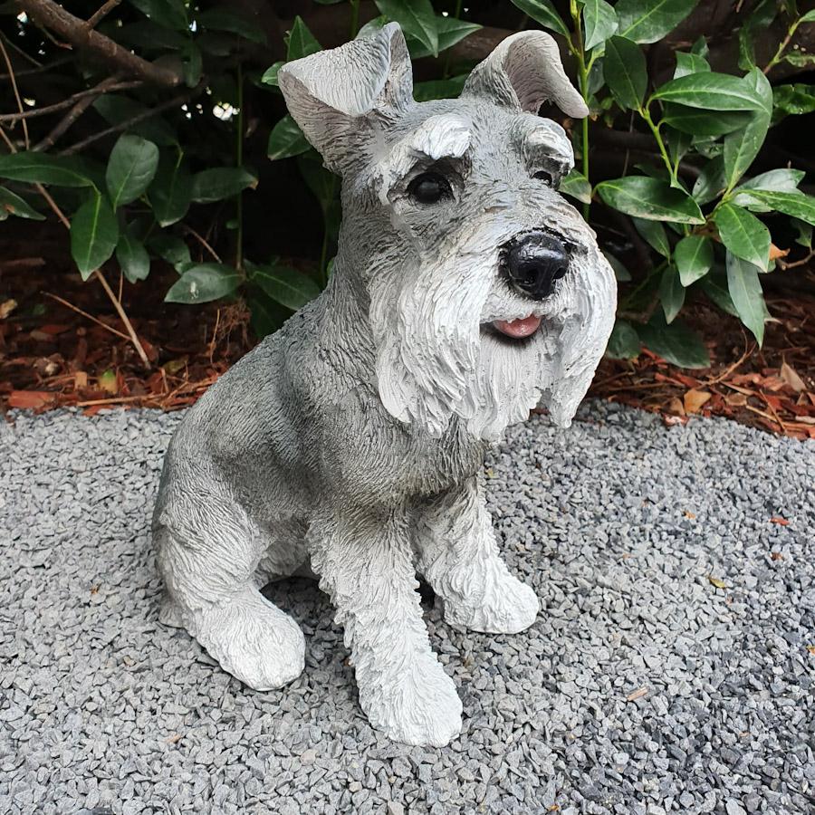 Gartenfigur Zwergschnauzer Figur 31 cm