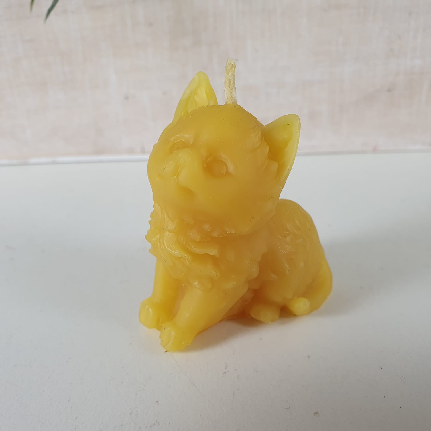 Bienenwachskerze verspielte Katzen Kerze 5 cm
