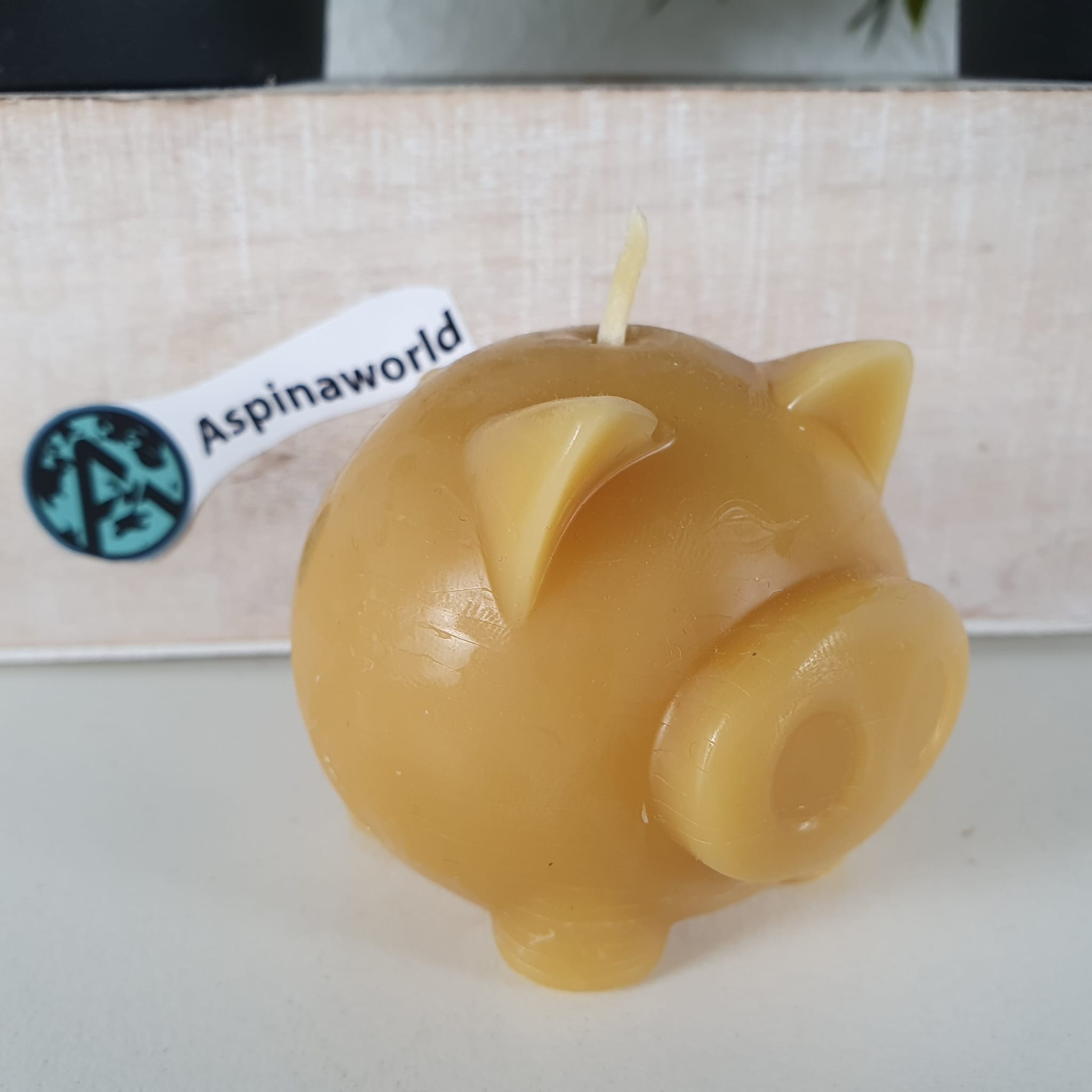 Bienenwachskerze dicke Schweine Kerze 5 cm