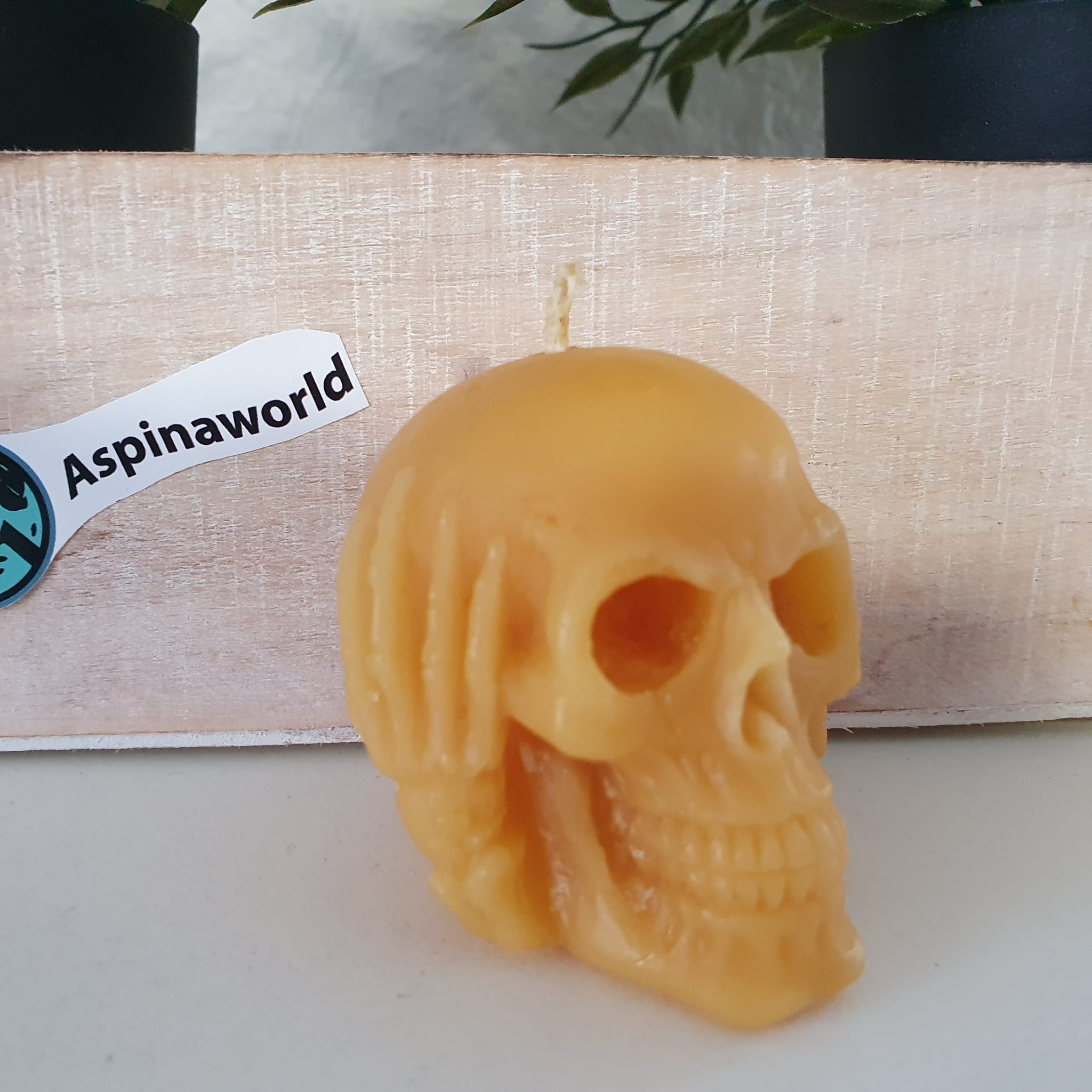 Bienenwachskerze Totenkopf Kerze nichts hören 5 cm