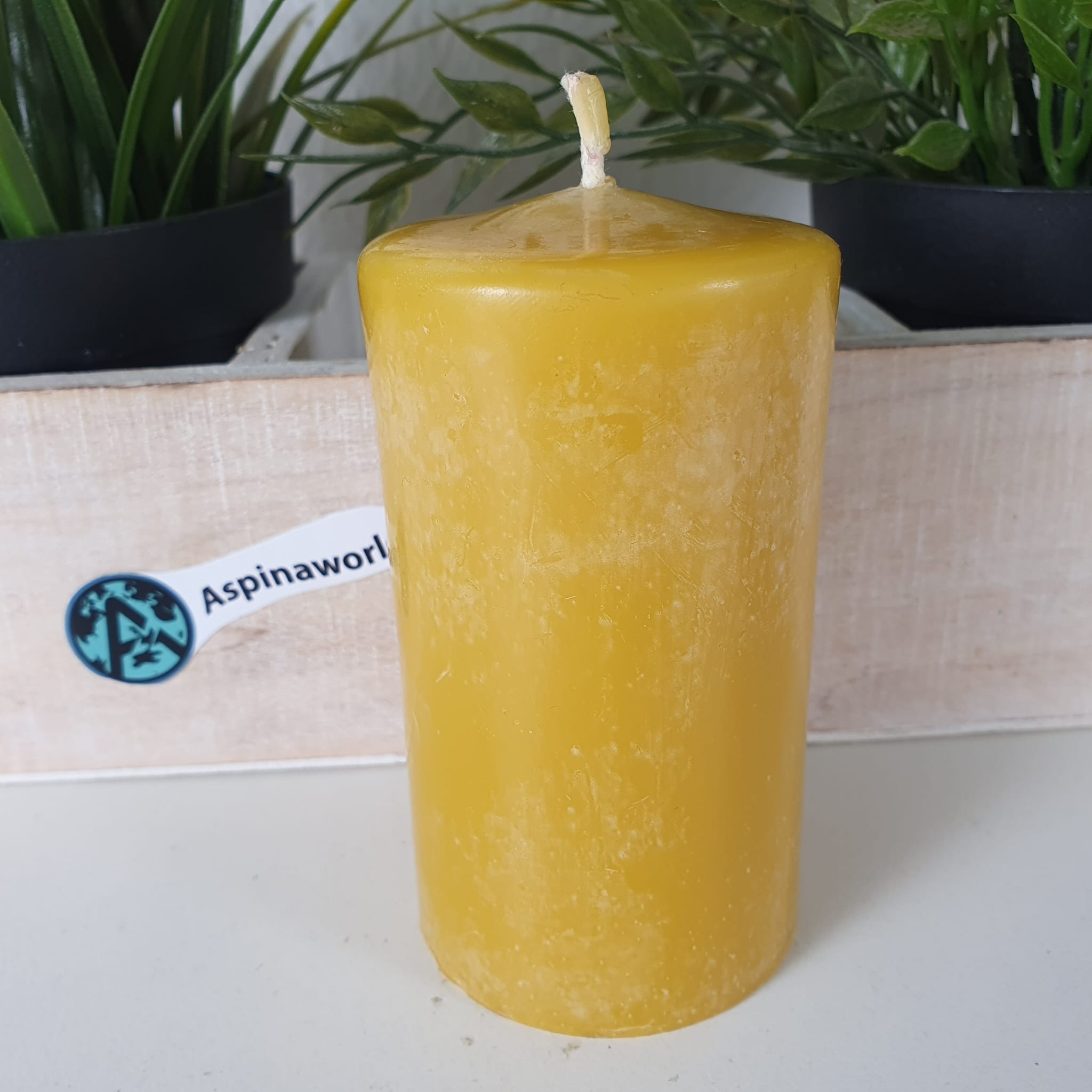 Bienenwachskerze Stumpenkerze aus 100% reinem Bienenwachs 9,5 x 5,50 cm