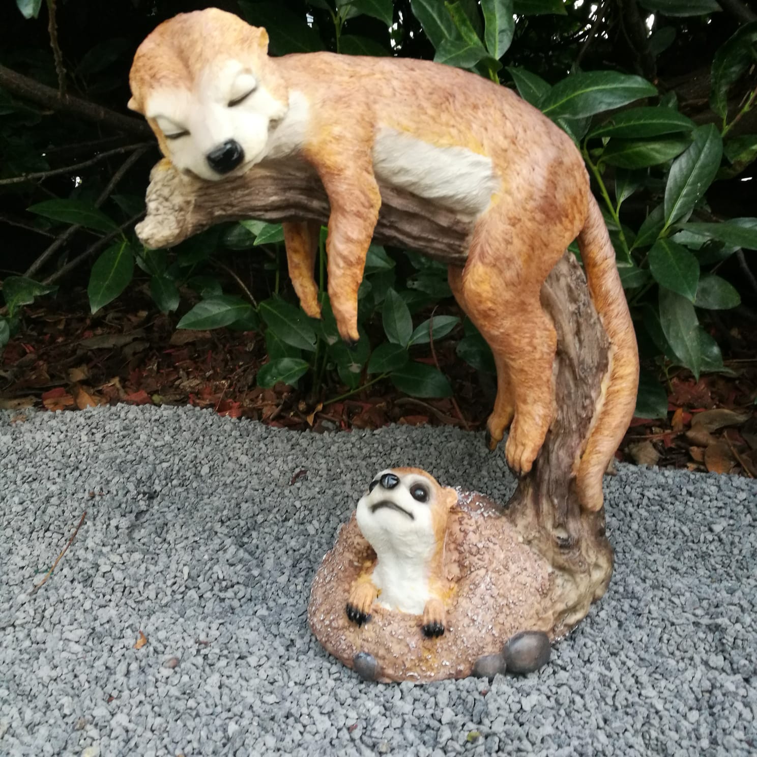 Gartenfigur schlafendes Erdmännchen Figur auf einem Ast 36 cm
