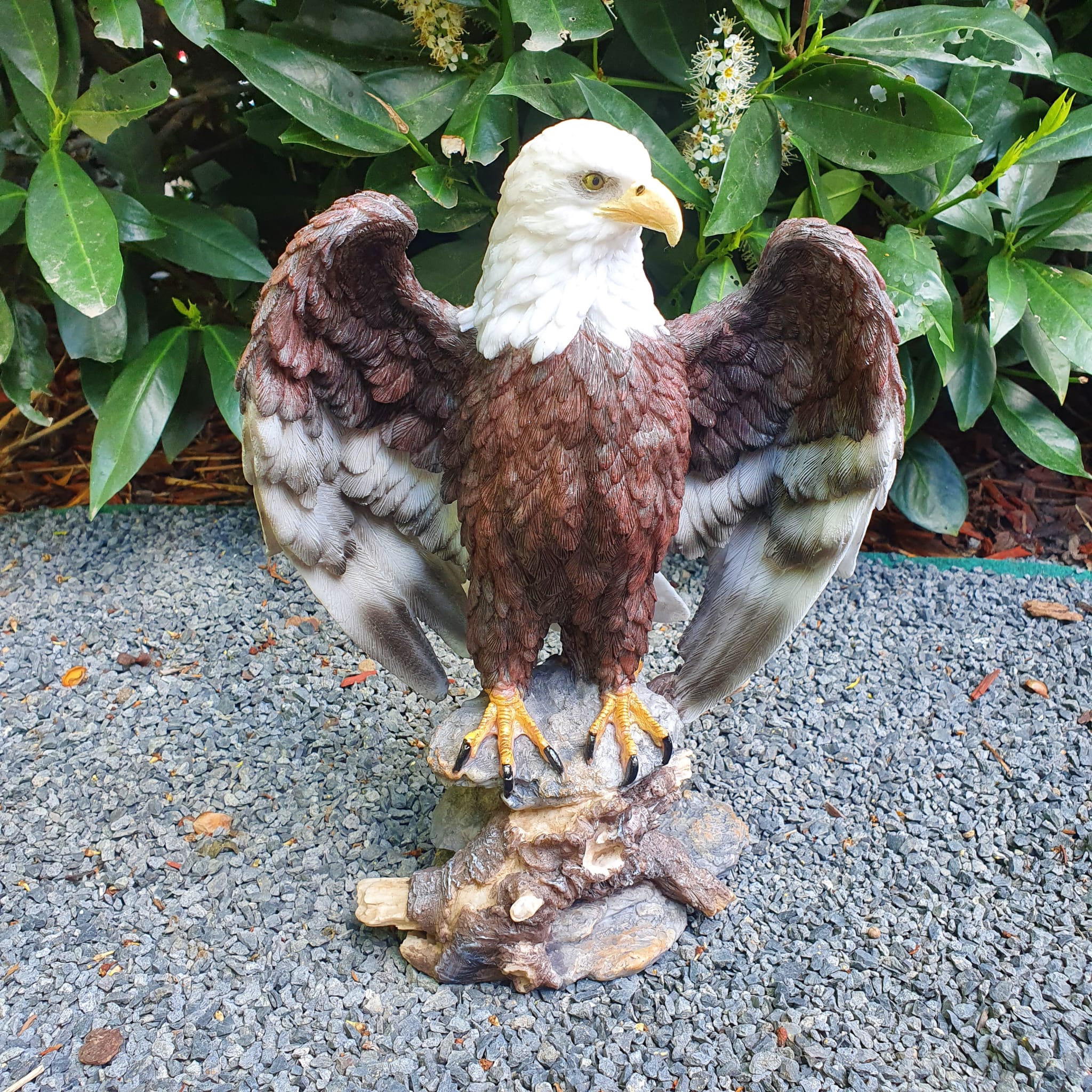 Adler Gartenfigur Weißkopfseeadler Figuren mit offenen Flügel 33 cm