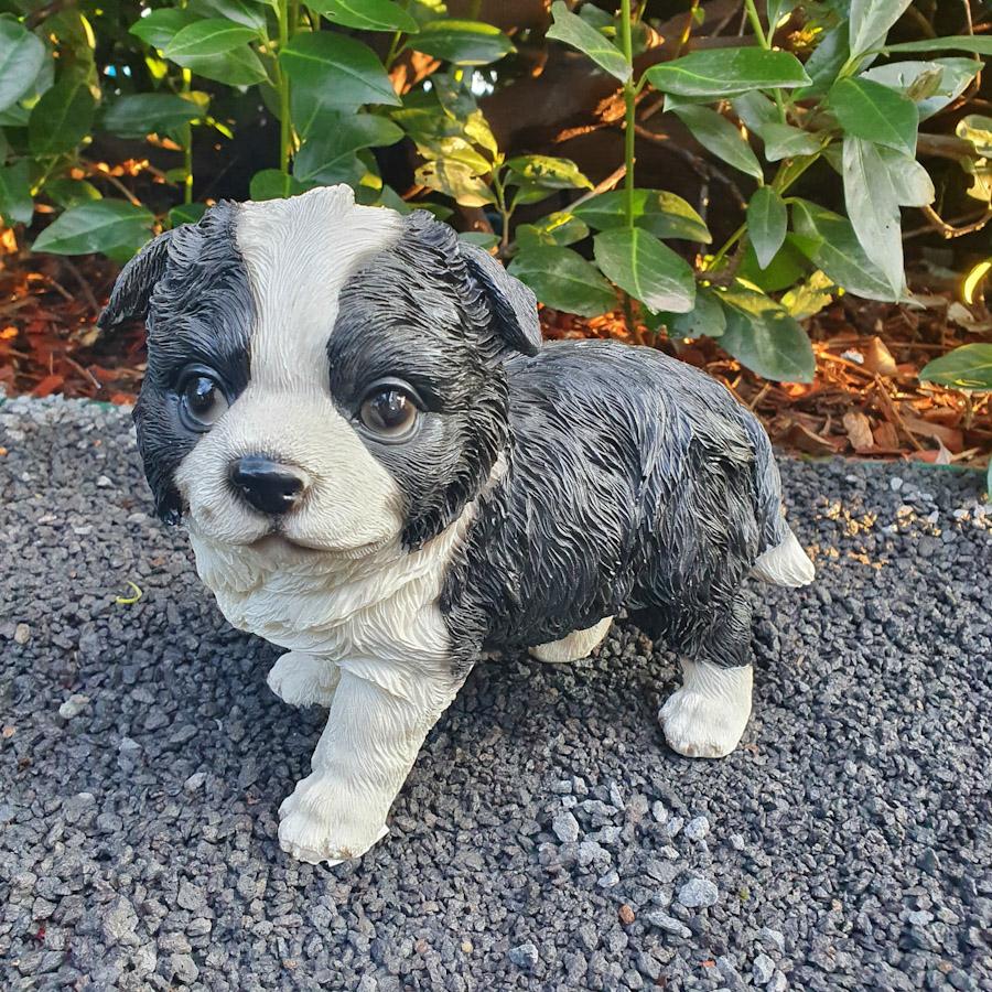 Gartenfigur Border Collie Figur Welpe 20 cm