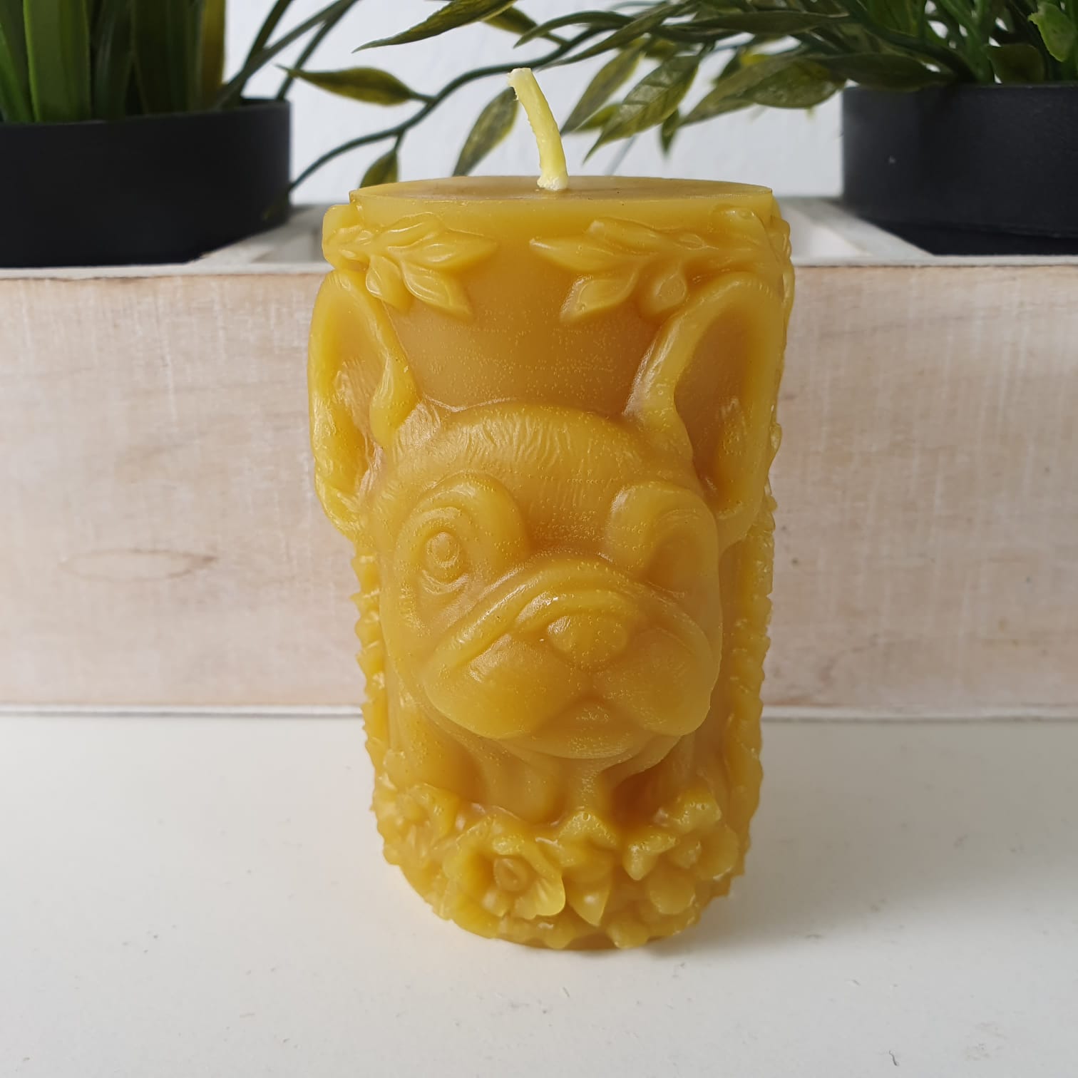 Bienenwachskerze Stumpenkerze mit Bulldogge 8,5 cm