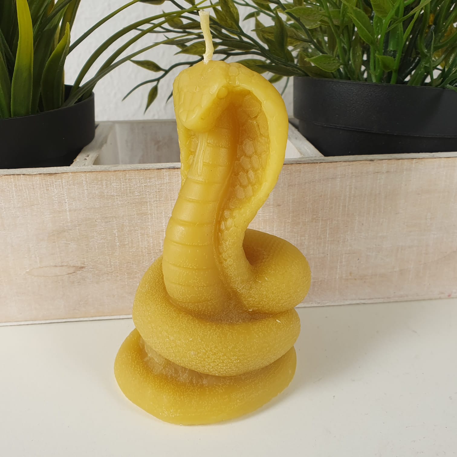 Bienenwachskerze Schlangen Kerze Kobra 12 cm