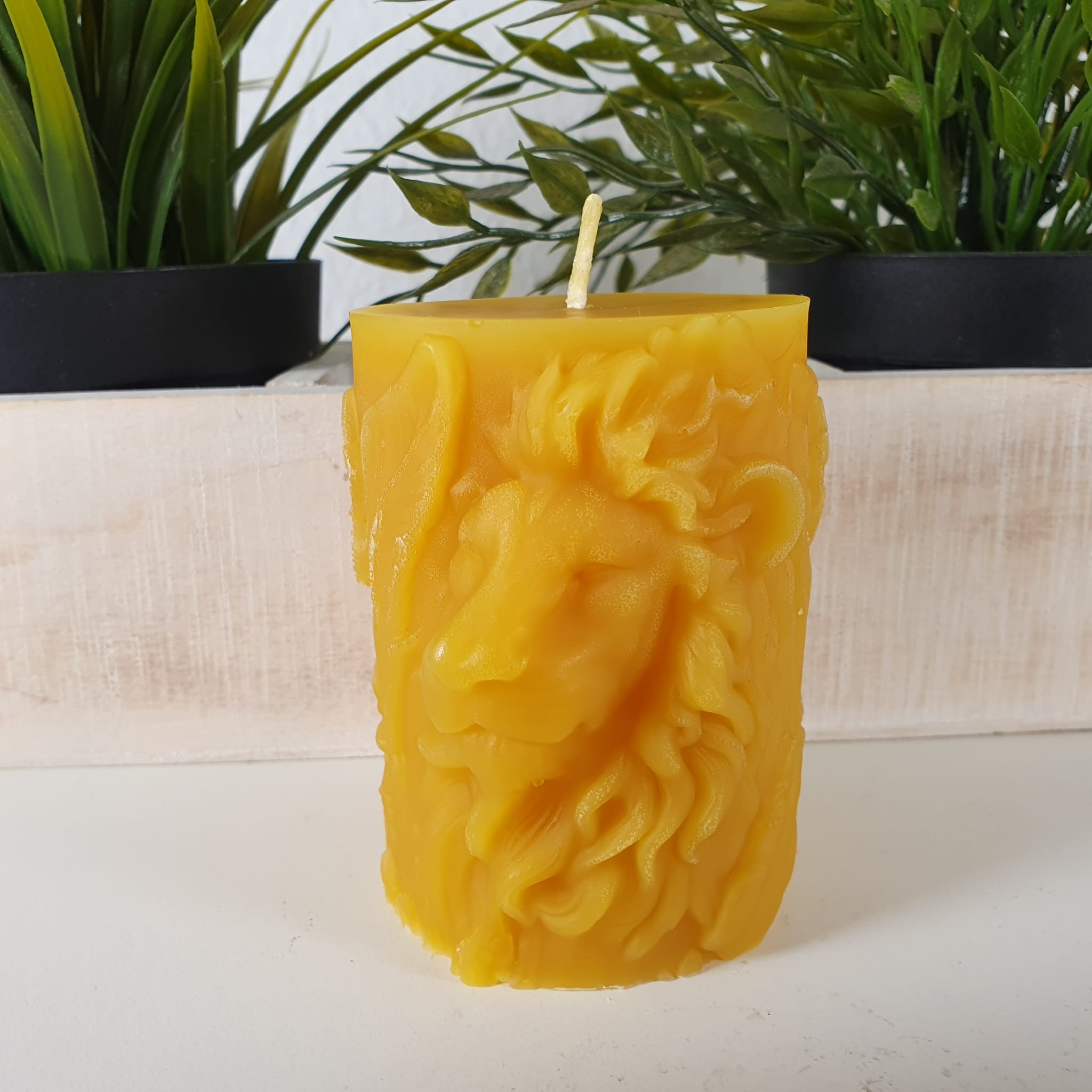 Bienenwachskerze runde Löwen Kerze 8,5 cm