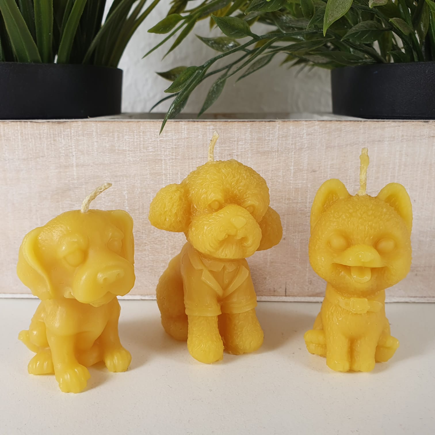 Bienenwachskerze verspielte Hunde Kerze 3er Set 5 cm