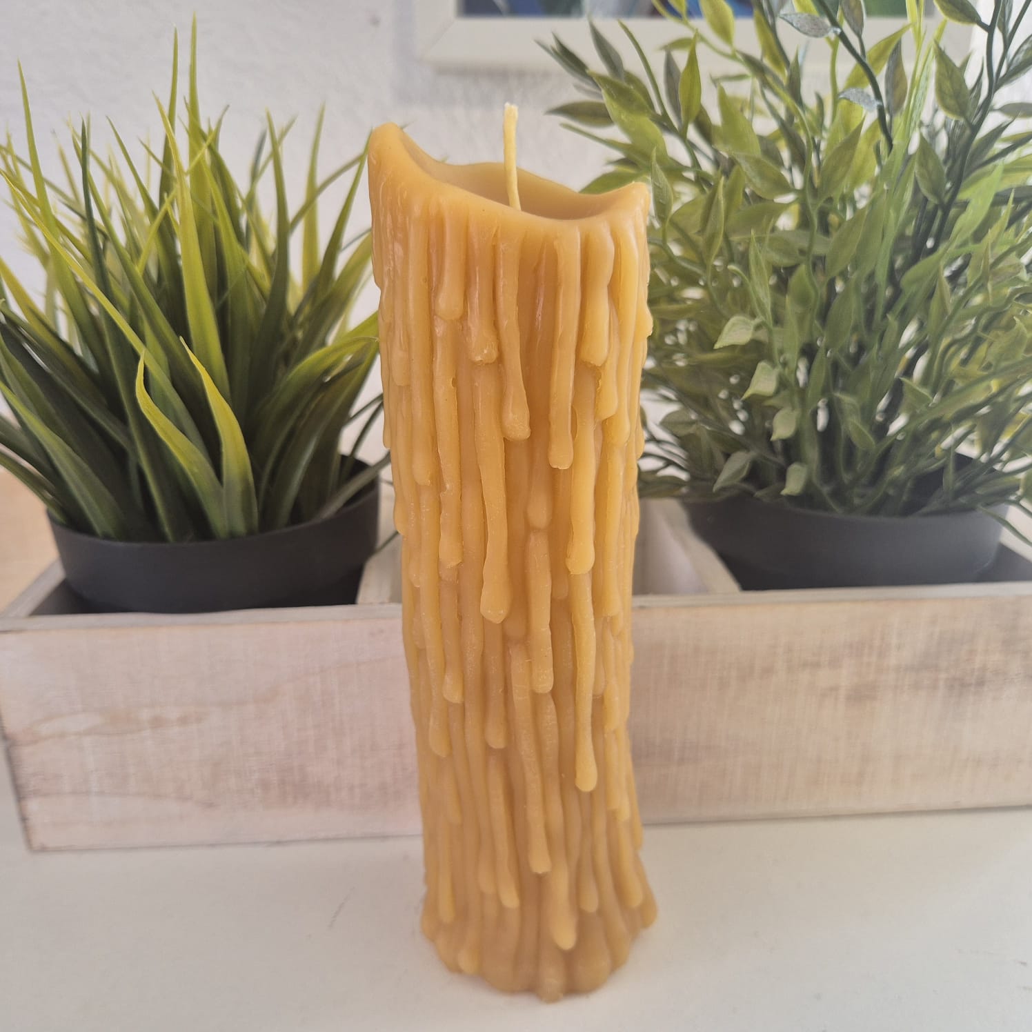 Bienenwachskerze große Schmelz Stumpenkerze 18,5 cm