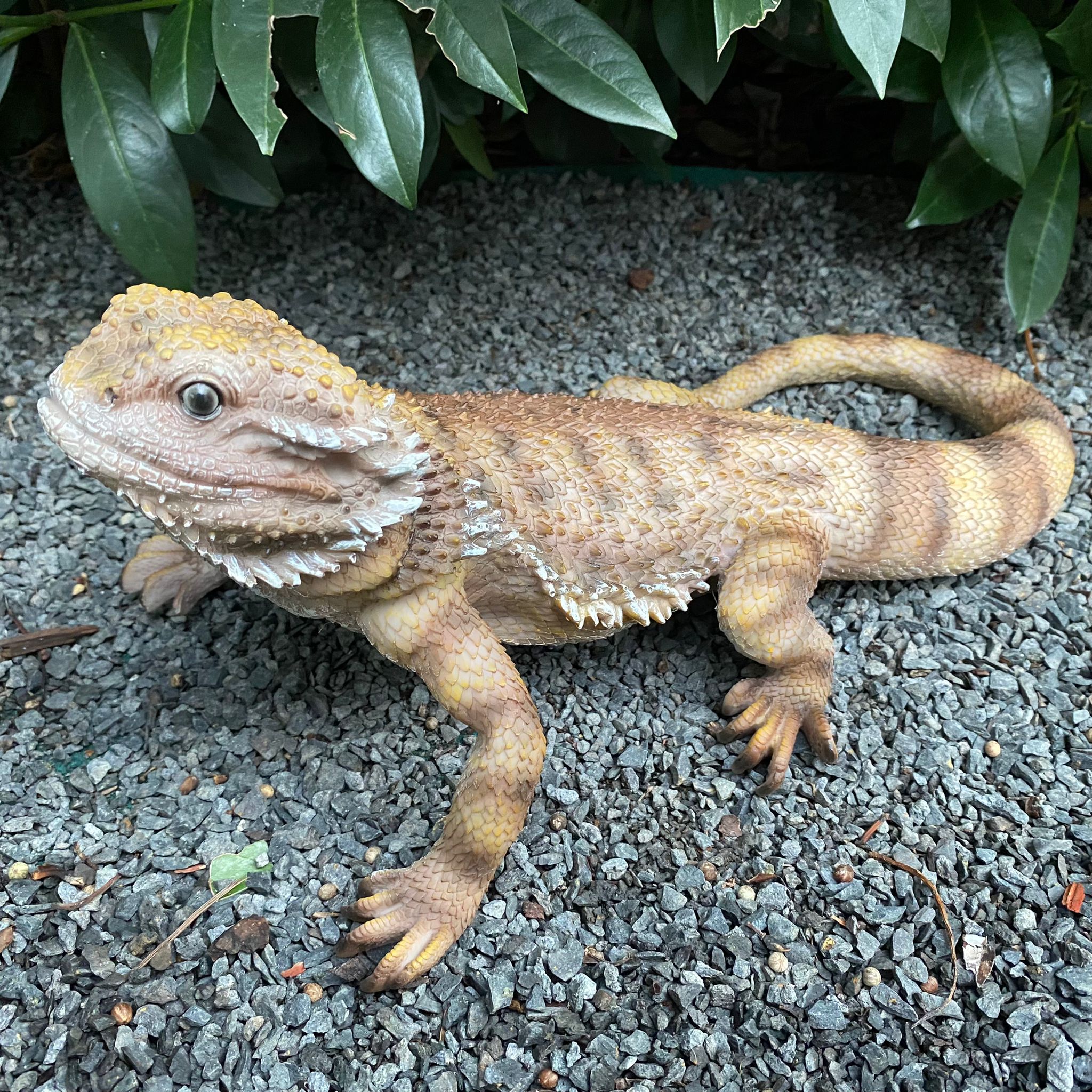 Gartenfigur Bartagame Figur 34 cm lang