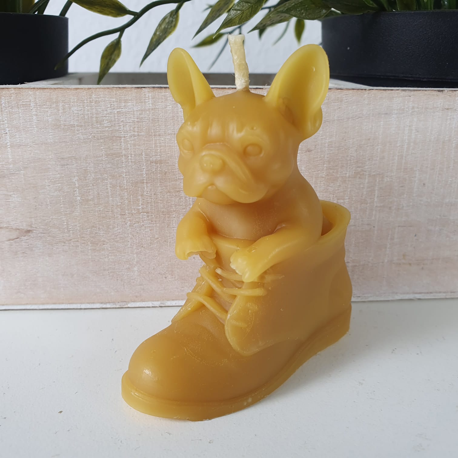Bienenwachskerze Hunde Kerze Bulldogge im Schuh 8 cm