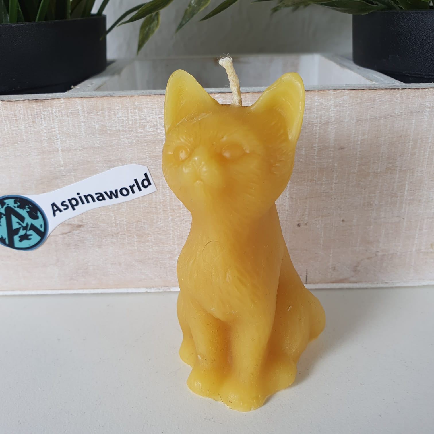 Bienenwachskerze sitzende Katzen Kerze 8 cm