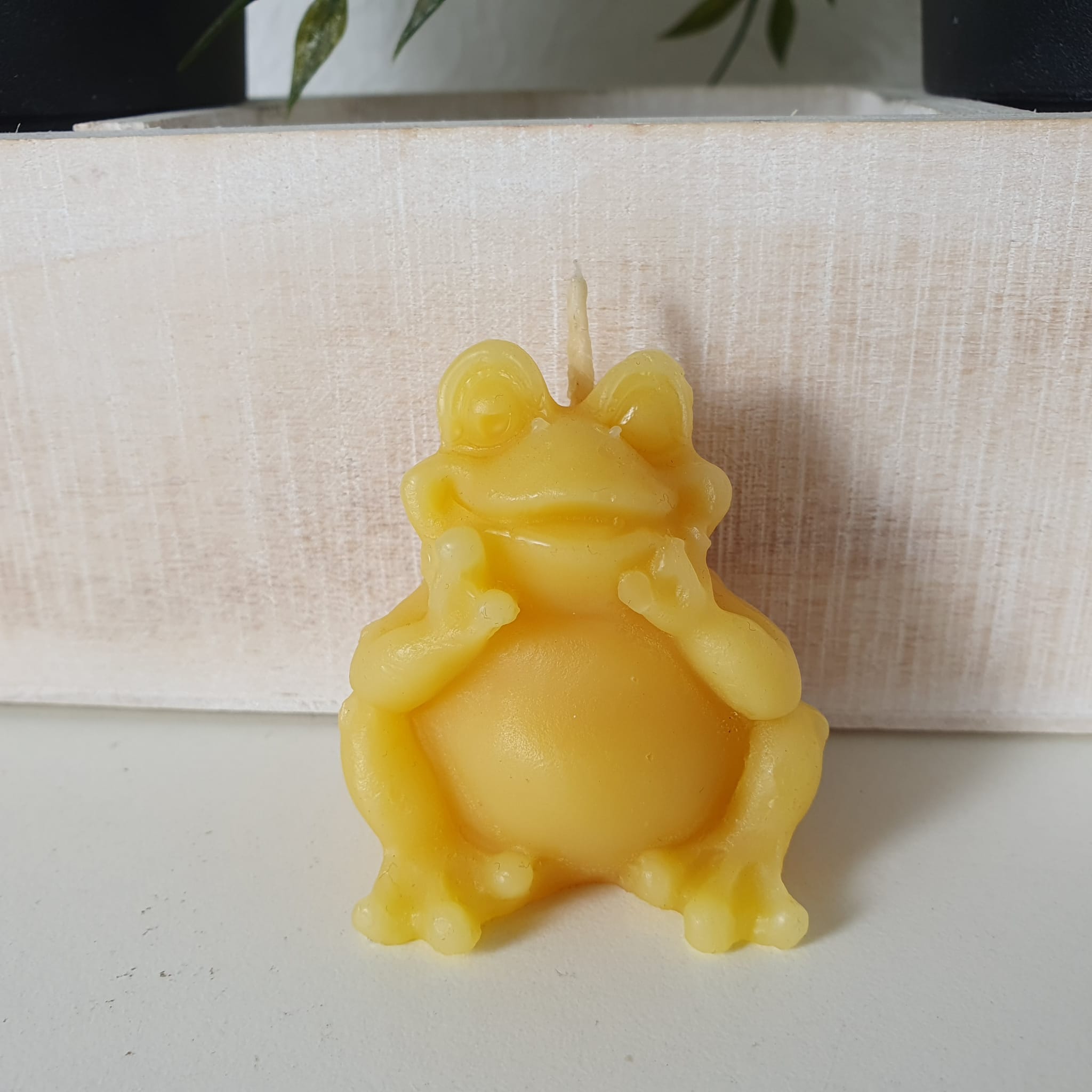 Bienenwachskerze Frosch Kerze 5 cm