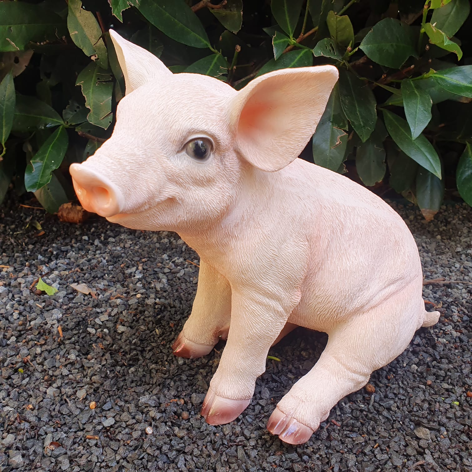 Gartenfigur sitzende Schweine Figur 23 cm