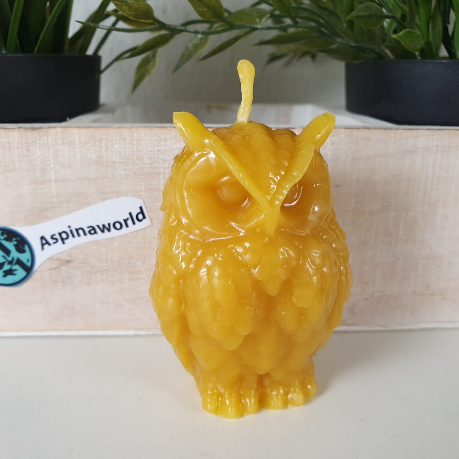 Bienenwachskerze Eulen Kerze 8 cm