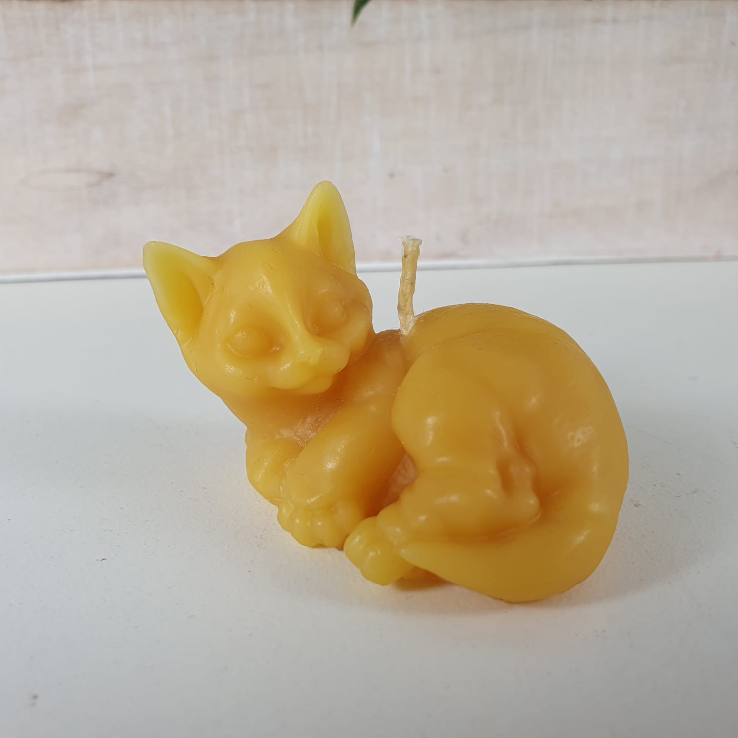 Bienenwachskerze verspielte Katze Kerze 3,5 cm