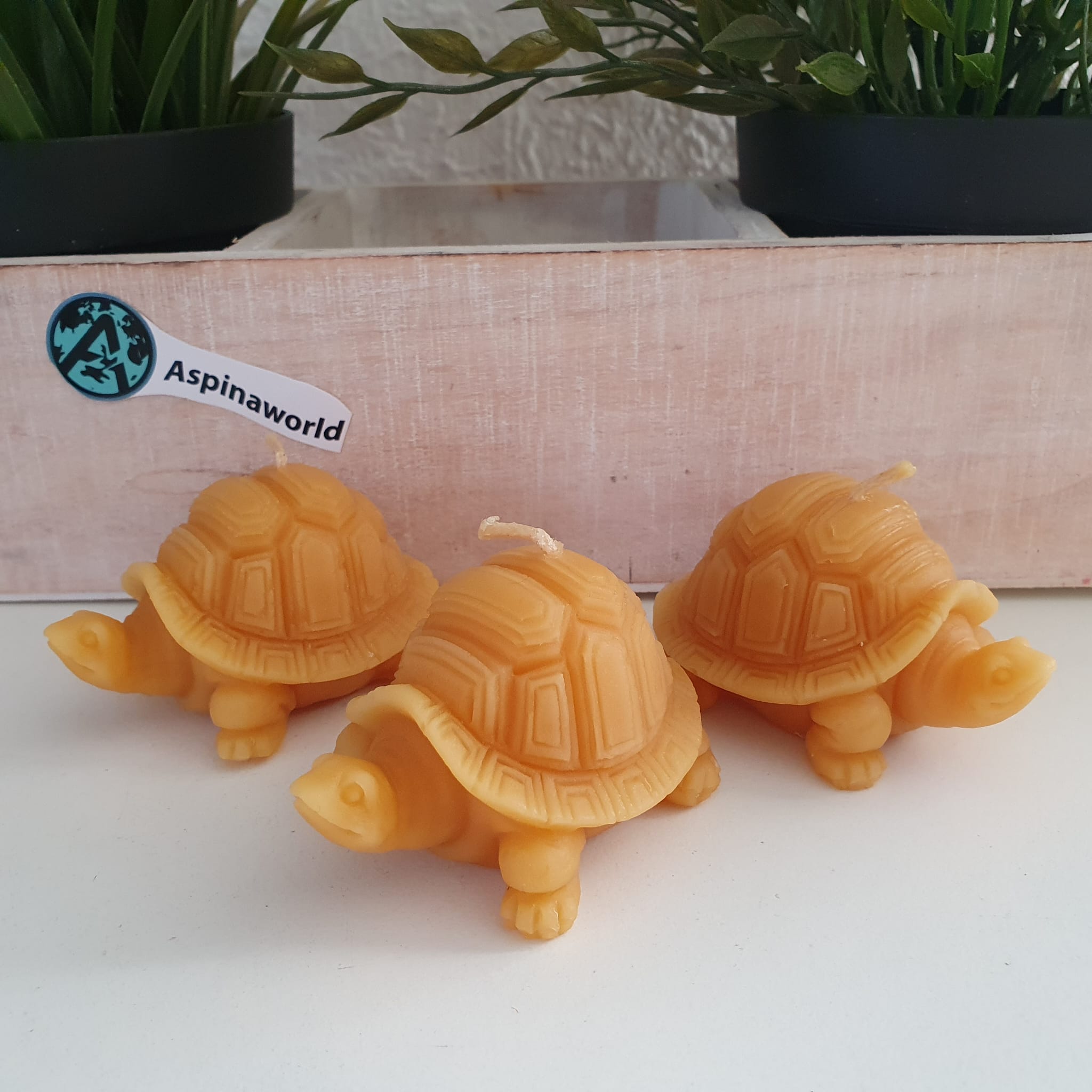 Bienenwachskerze Schildkröten Kerzen 3er Set 4cm