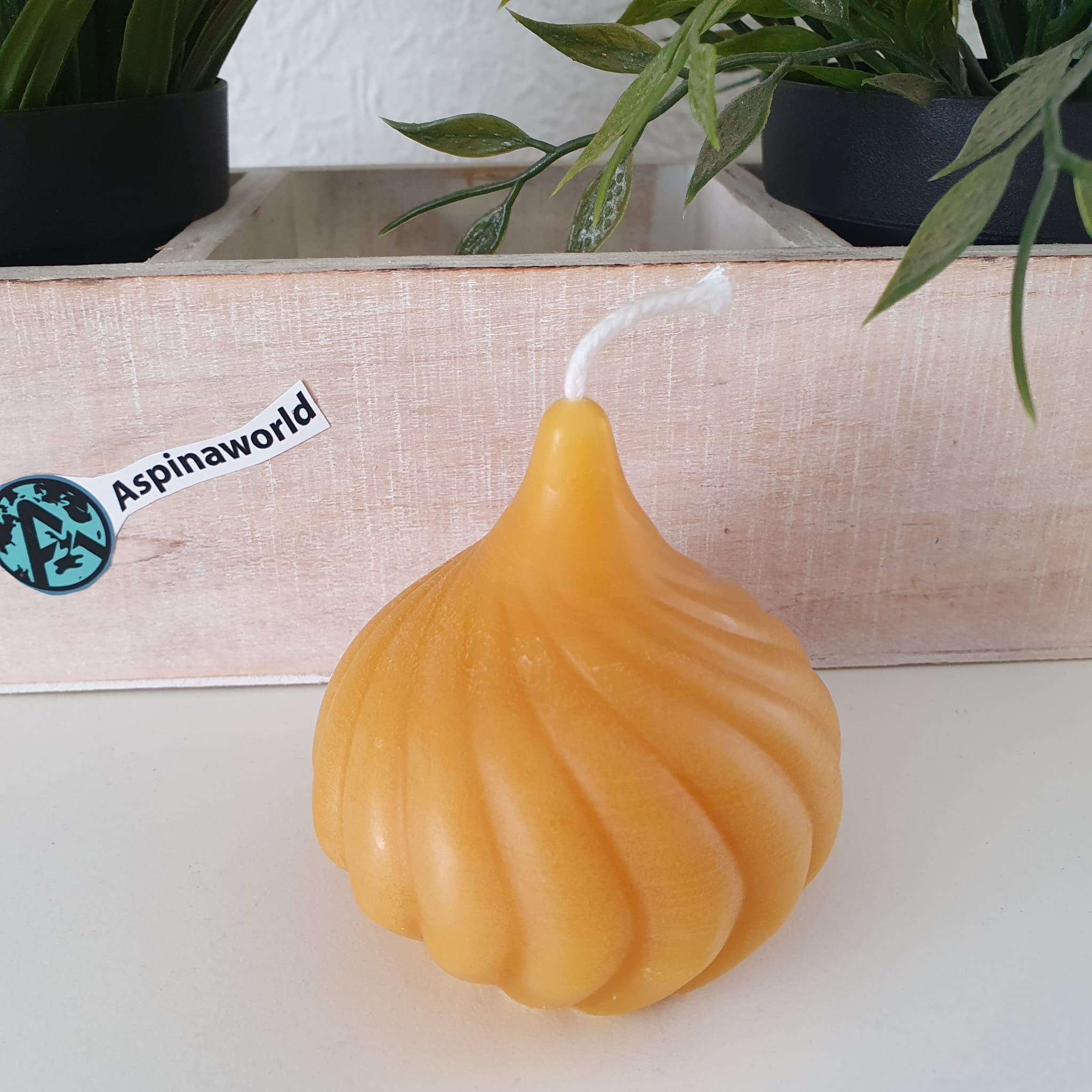 Spiralen Kerze 6 cm 100% Bienenwachs Kerze