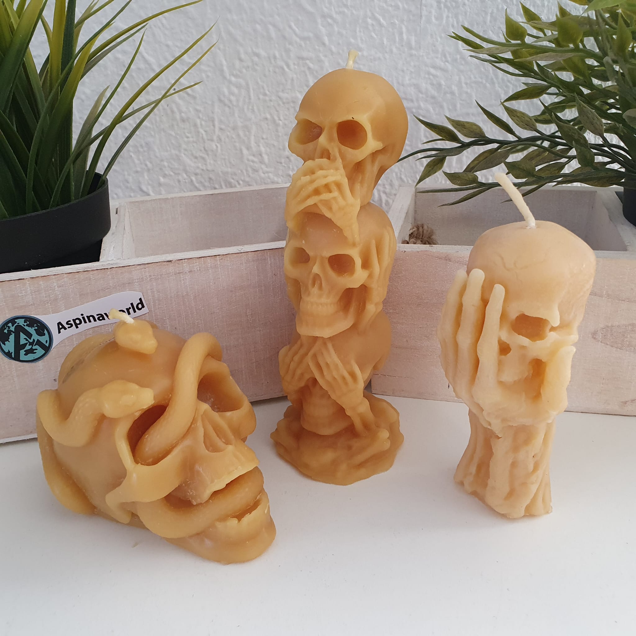 3er Set Totenkopf Kerzen aus 100% Bienenwachs