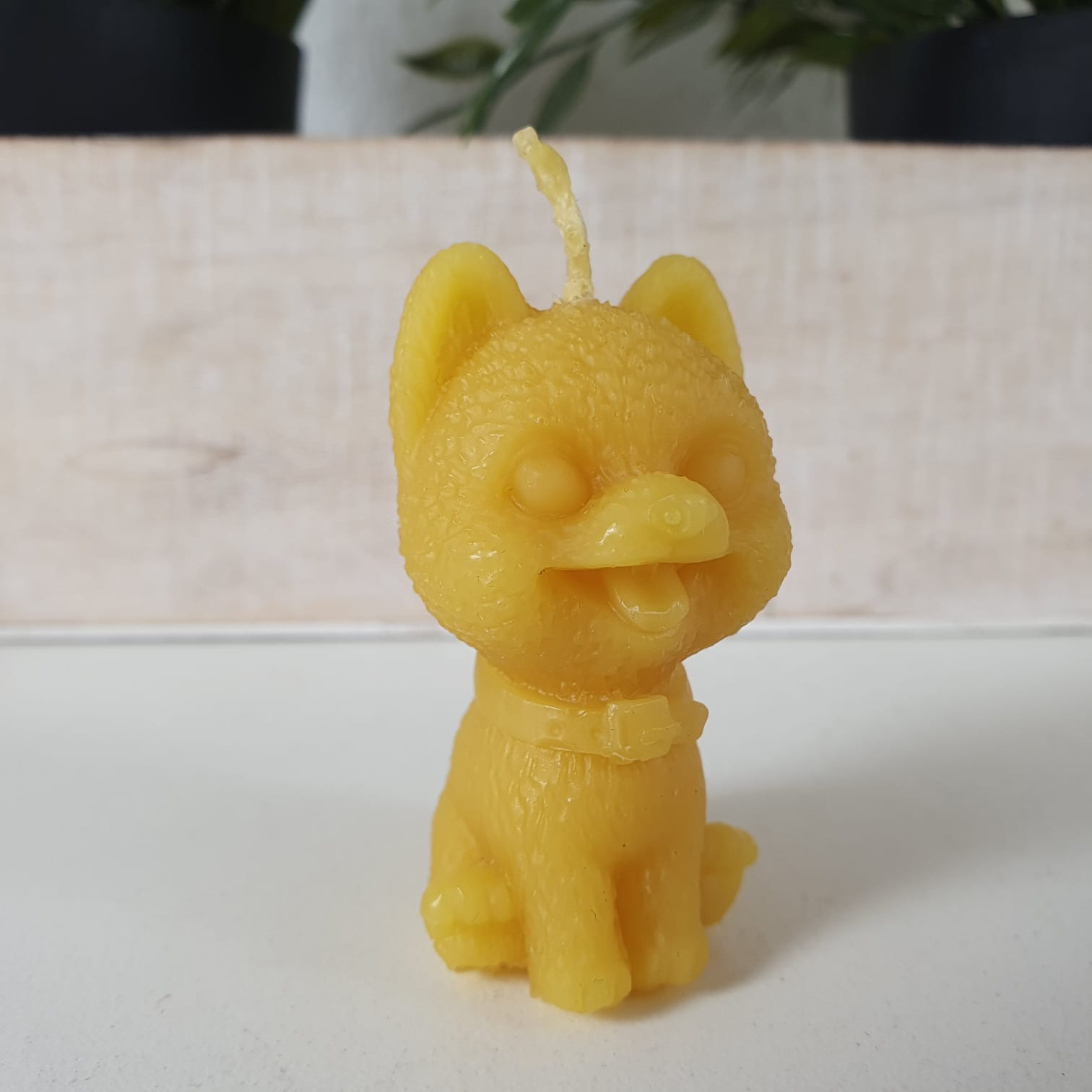Bienenwachskerze Husky Hunde Kerze 5,5 cm