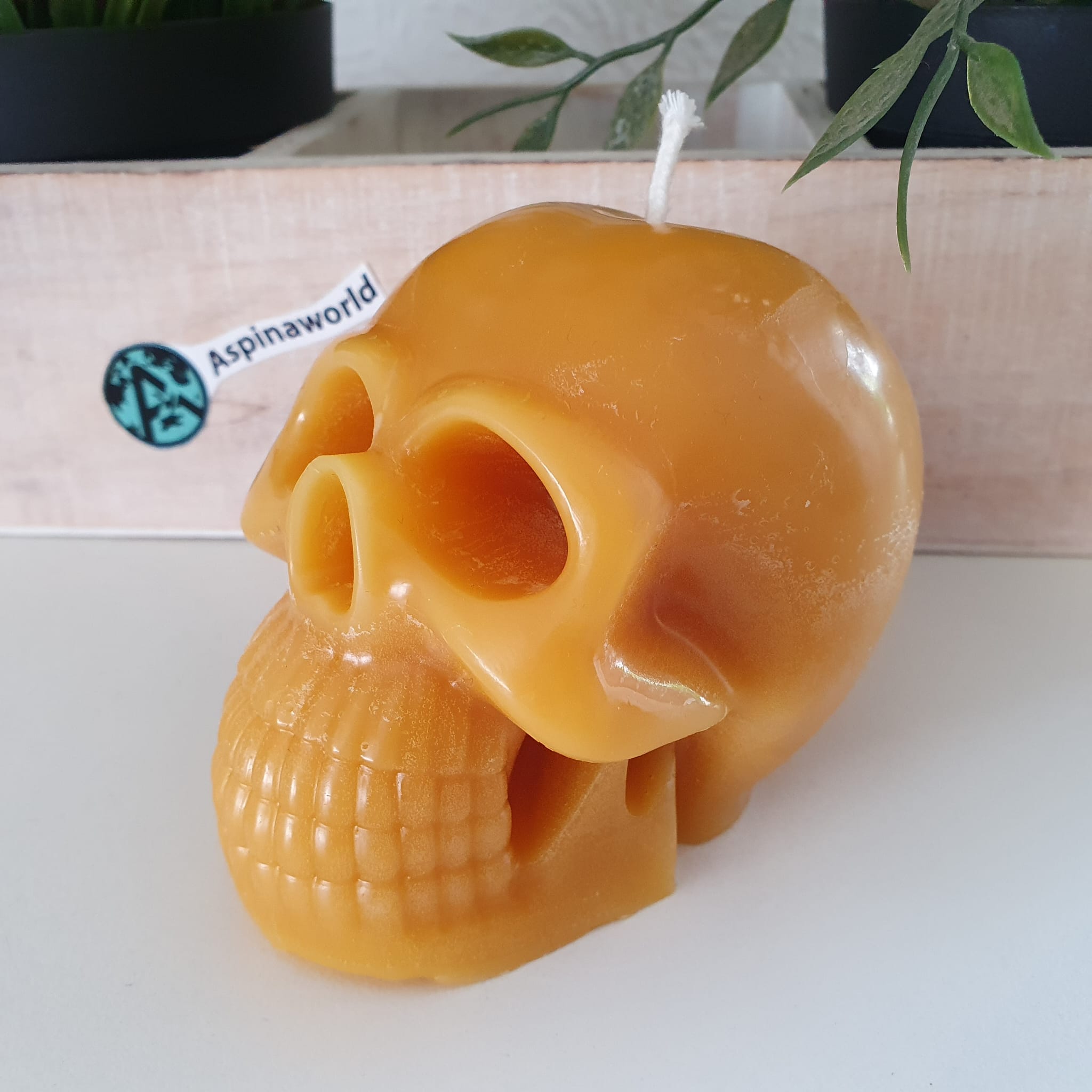Totenkopf Kerze 7 cm 100% Bienenwachs Kerze