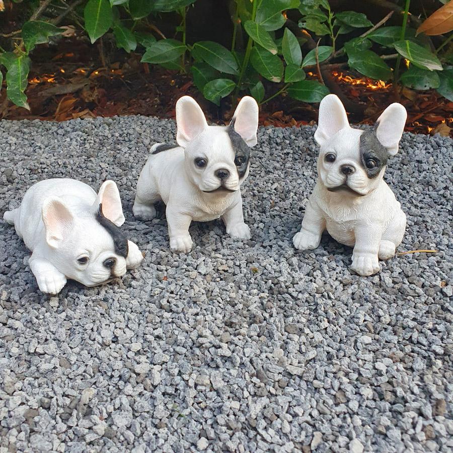 Gartenfigur Französische Bulldogge Welpen Figur 3er Set 13 cm