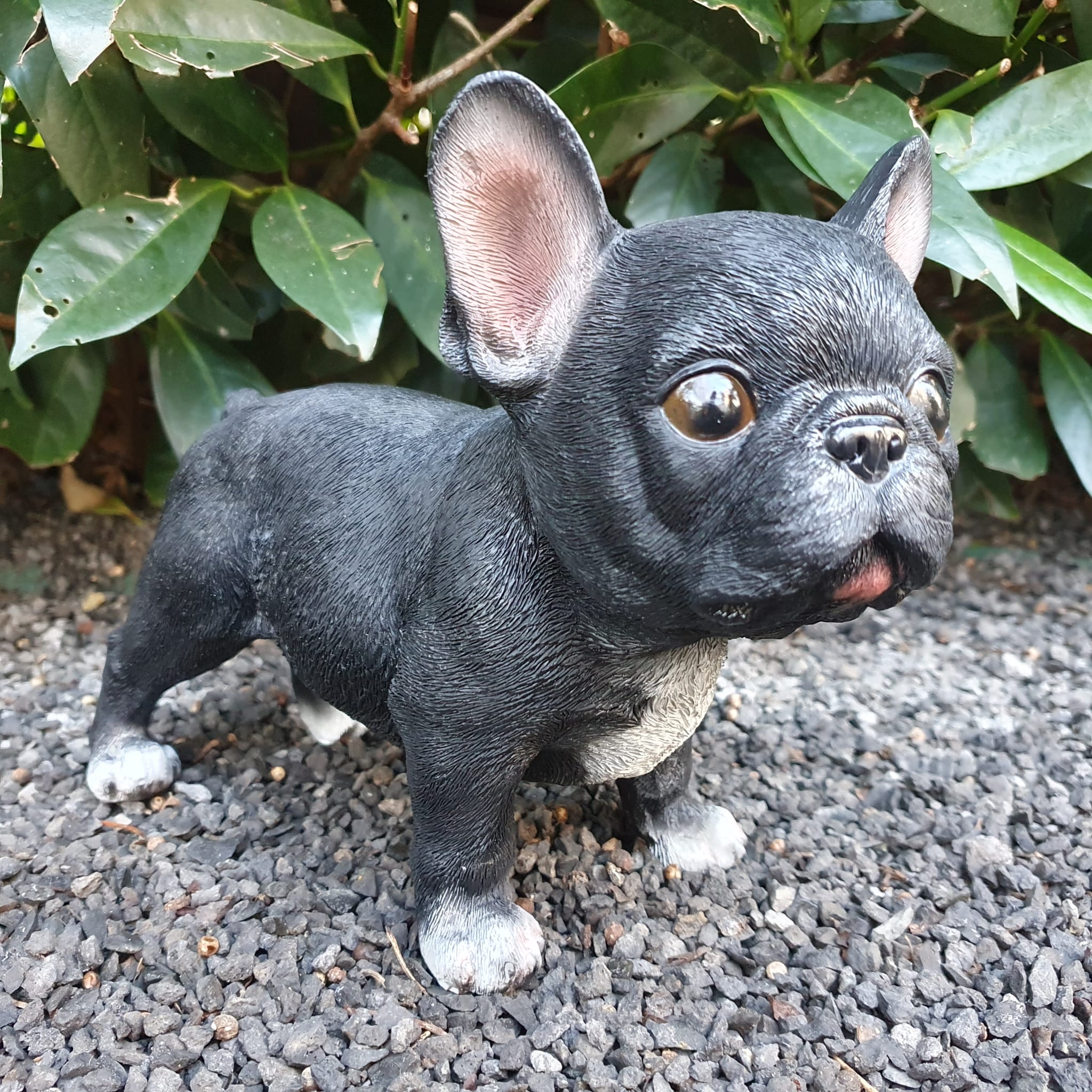 Gartenfigur französische Bulldogge Figur steht 17 cm