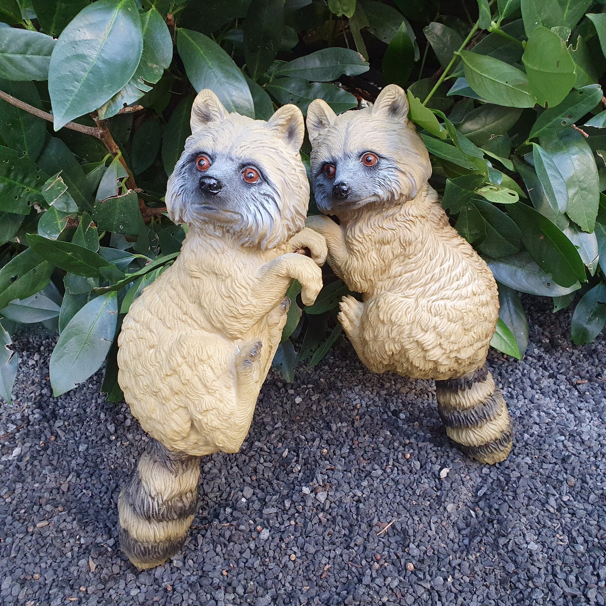 Gartenfigur 2er Set Waschbären zum hängen 37 cm