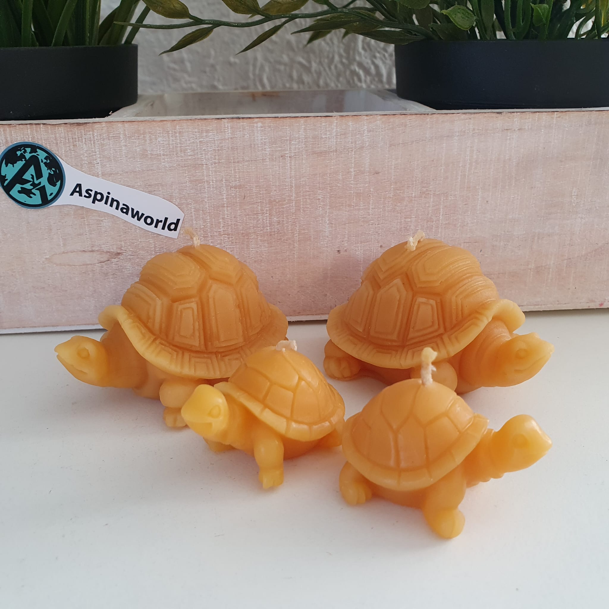 Bienenwachskerze Schildkröten Kerze im 4er Set