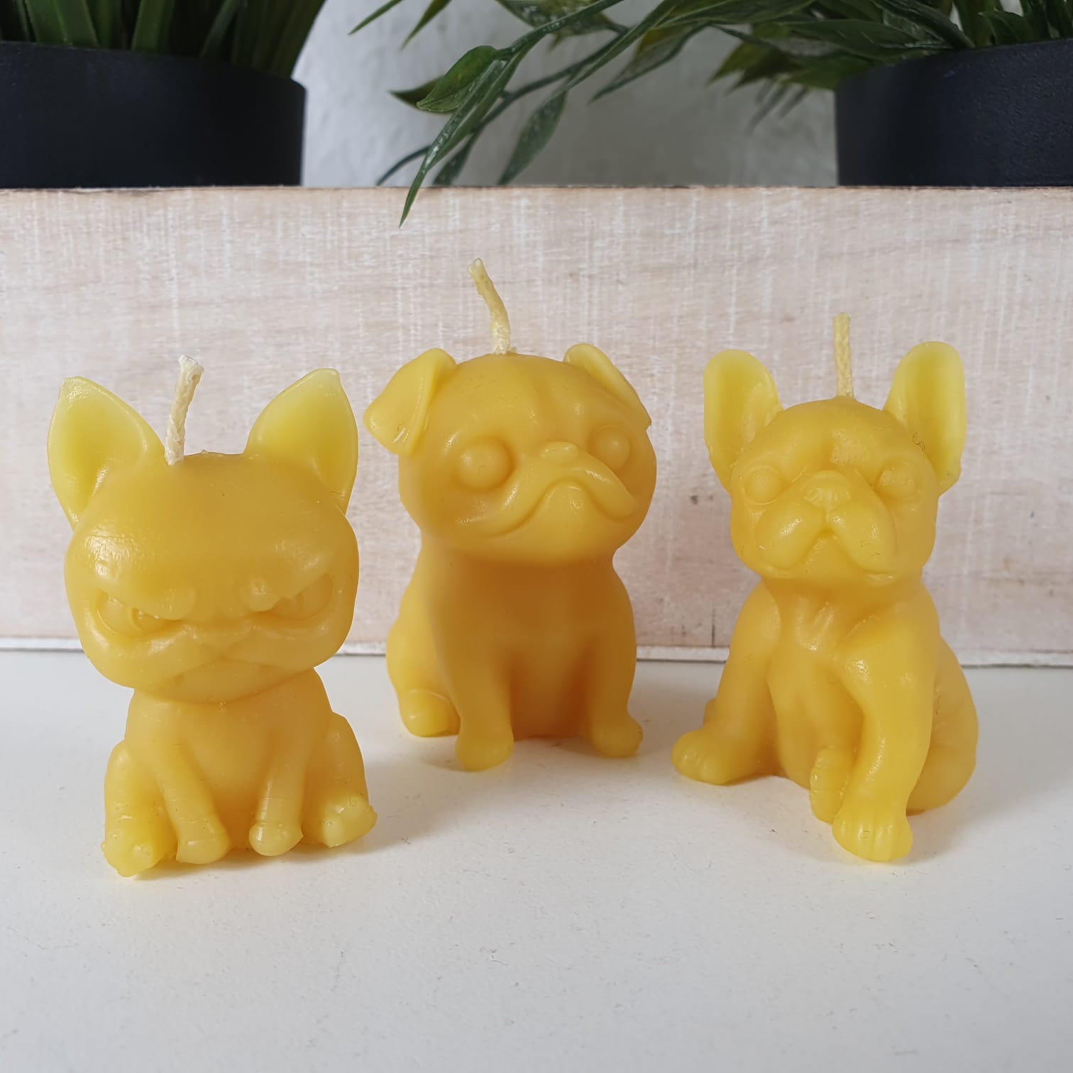 Bienenwachskerze Hunde Kerze im 3er Set 5 cm