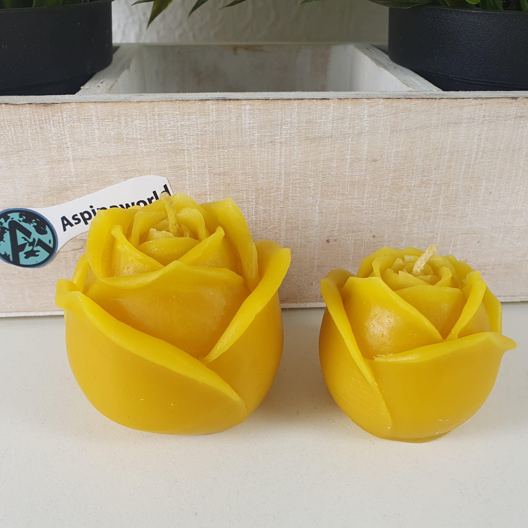 Bienenwachskerze Rosen Kerzen im 2 er Set 5 cm