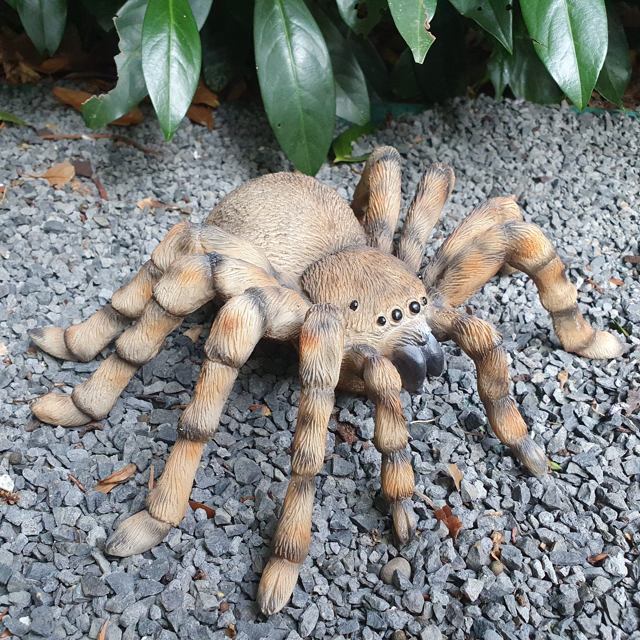 Gartenfigur Spinnen Figur Vogelspinne 26 cm breit