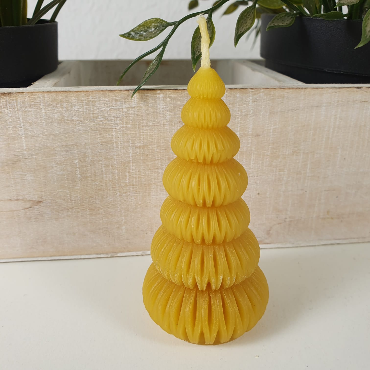 Bienenwachskerze Tannenbaum Kerze rund 8 cm