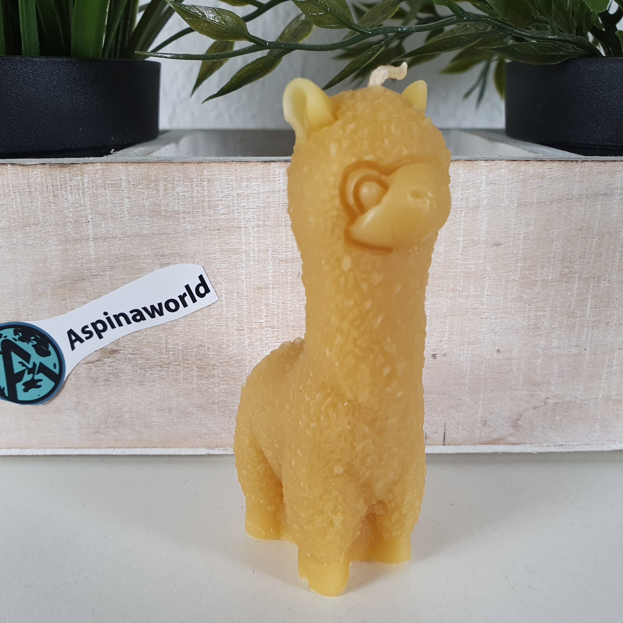 Bienenwachskerze Alpaka Kerze 9 cm