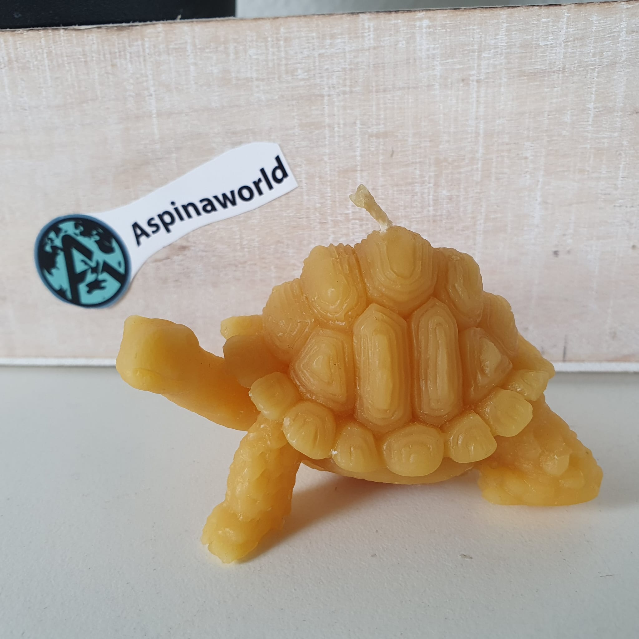 Bienenwachskerze Schildkröten Kerze Kopf oben 4 cm