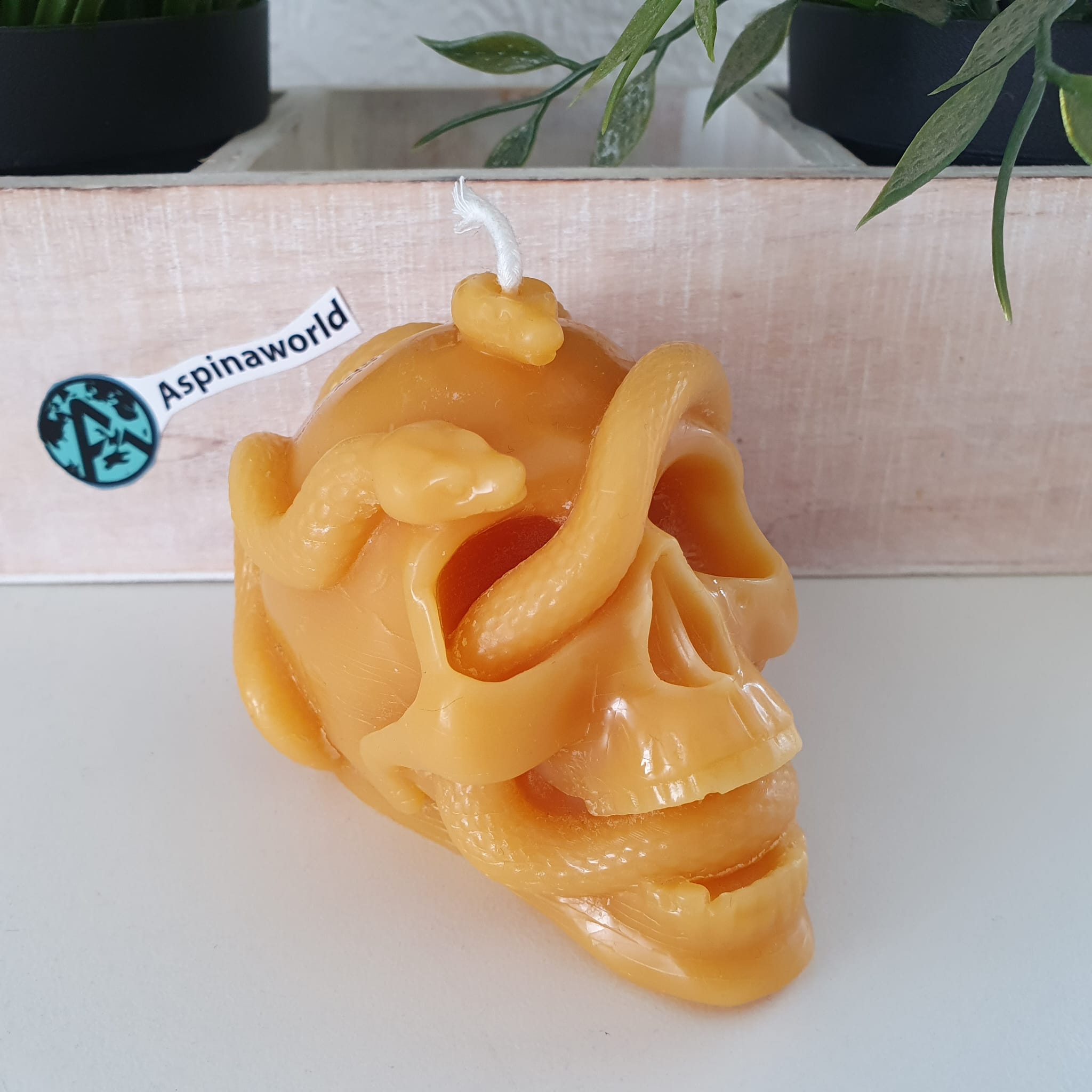 Totenkopf Kerze mit Schlangen 7 cm 100% Bienenwachs Kerze