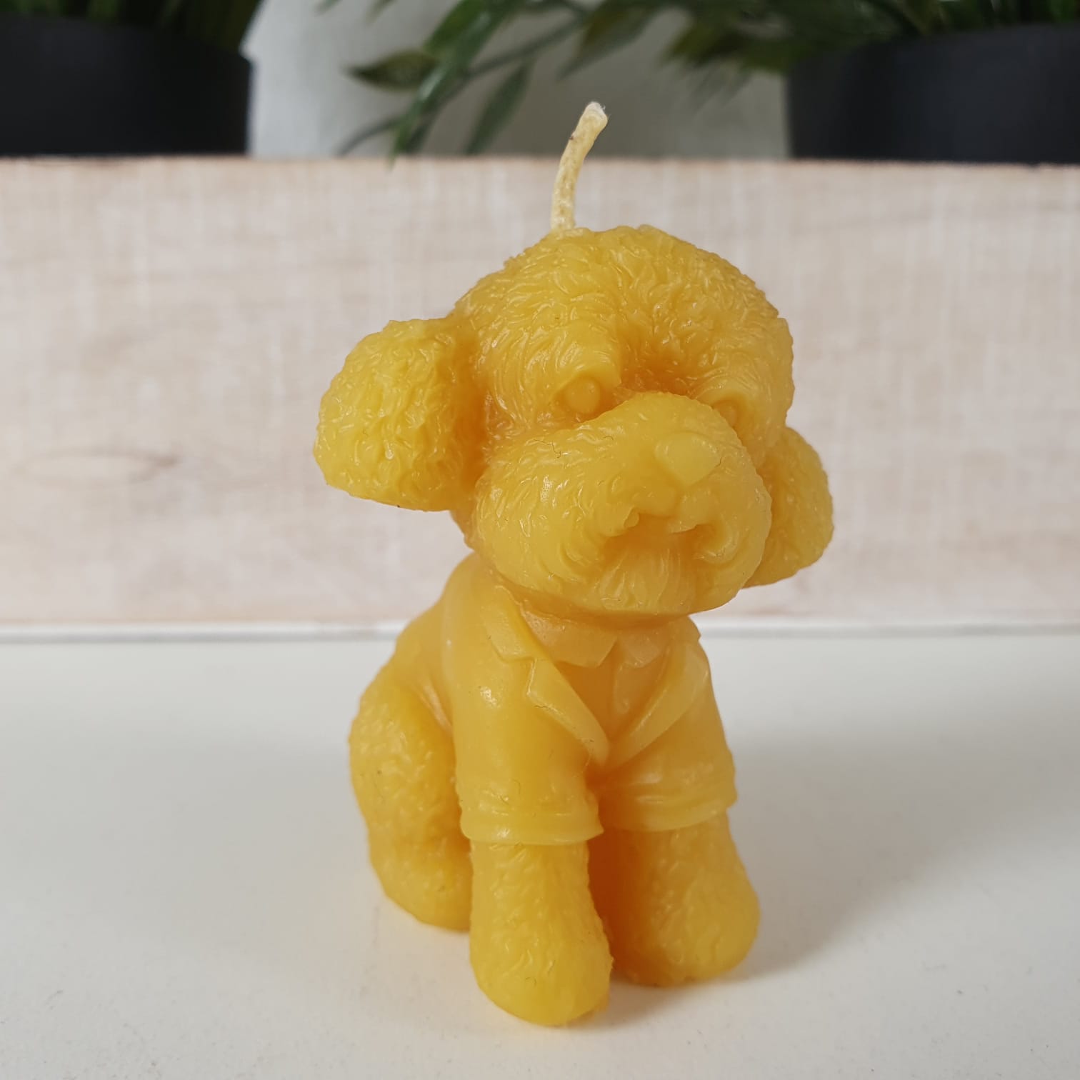Bienenwachskerze Pudel Hunde Kerze 6 cm