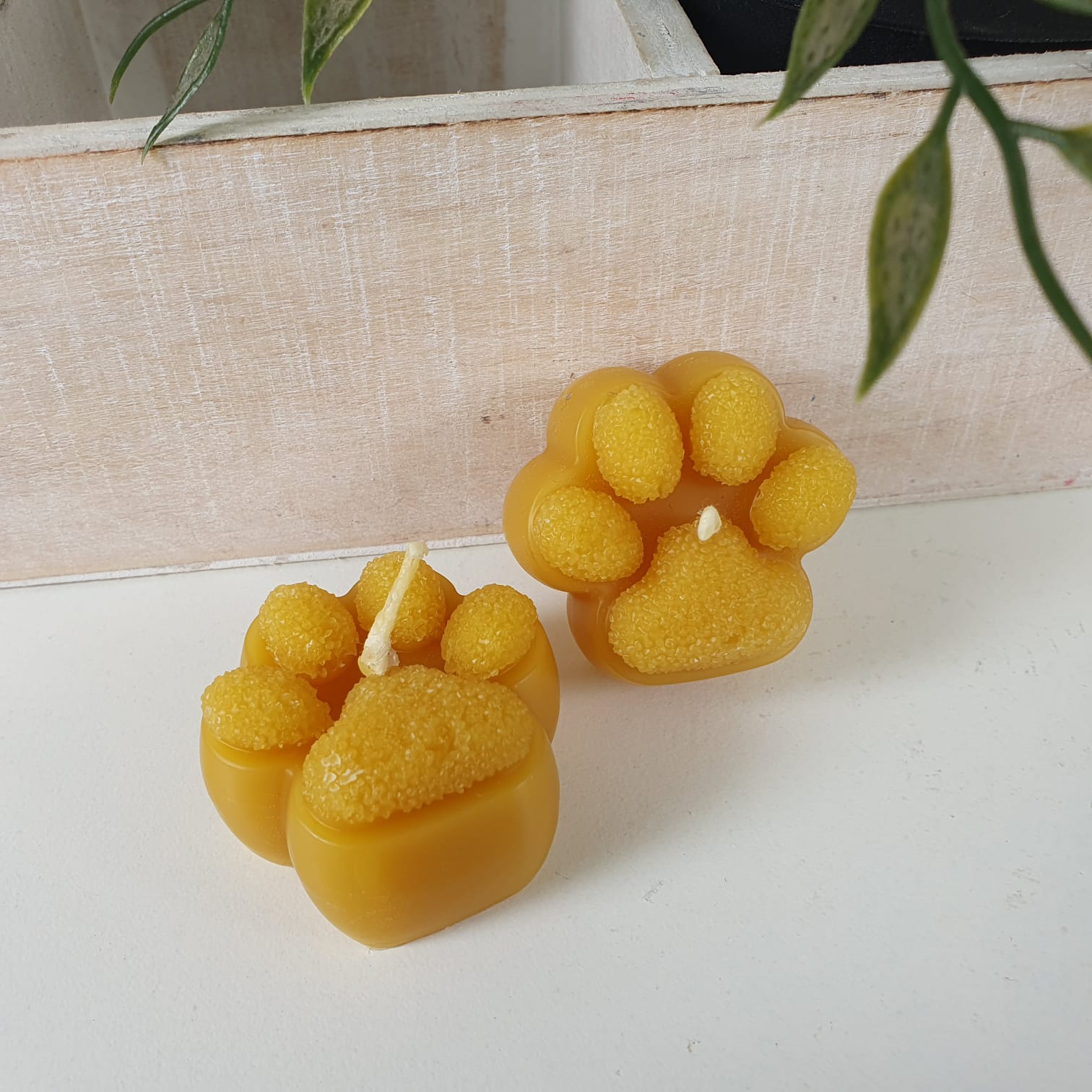 Bienenwachskerze Teelicht 2er Set Pfoten Kerze 2,5 cm