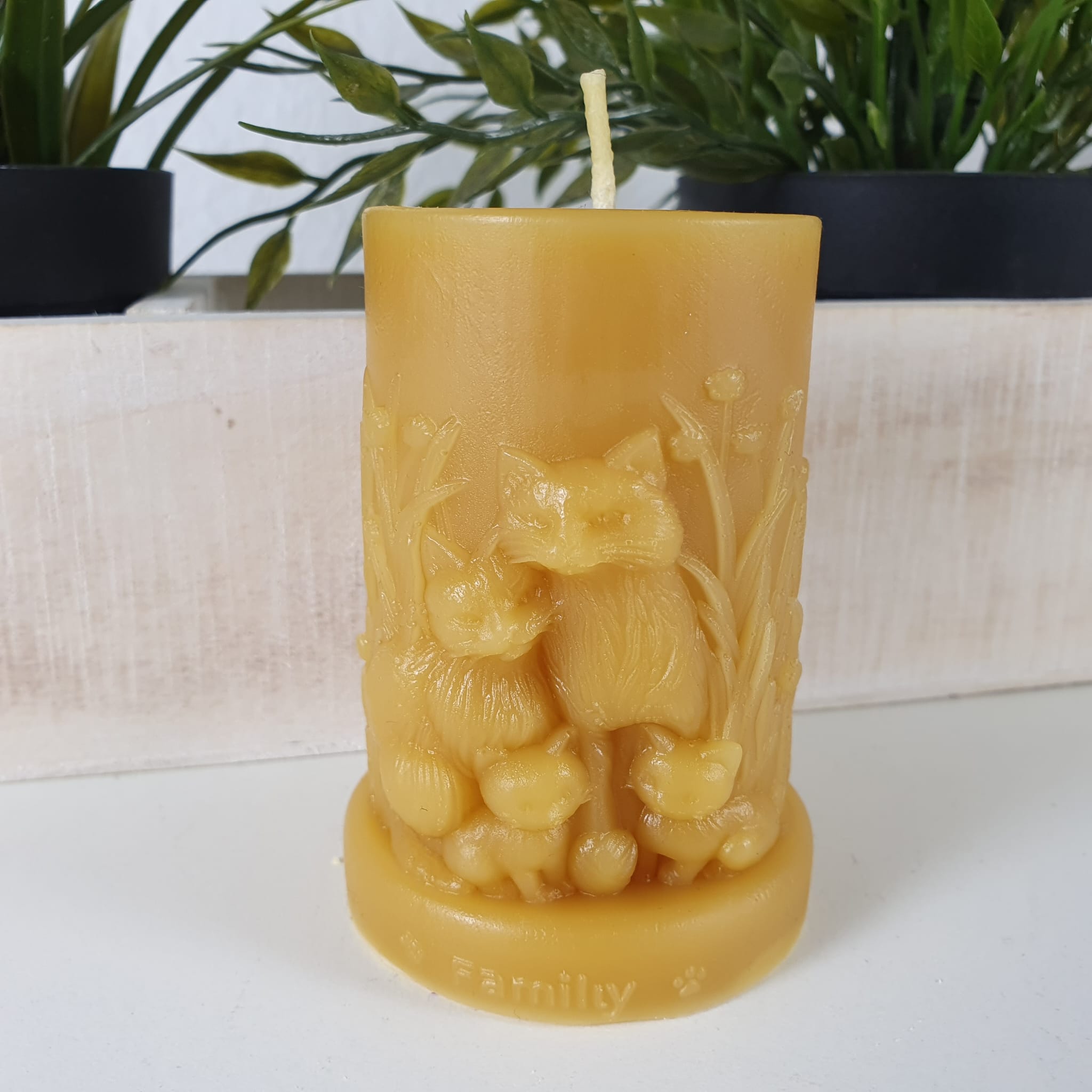 Bienenwachskerze runde Katzenkerze 8,5 cm