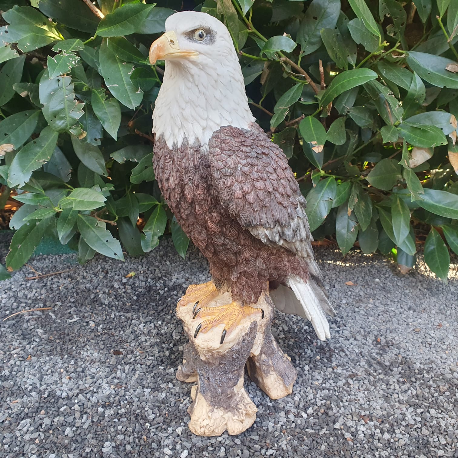 Gartenfigur Adler Figur auf Ast Weißkopfseeadler 40 cm